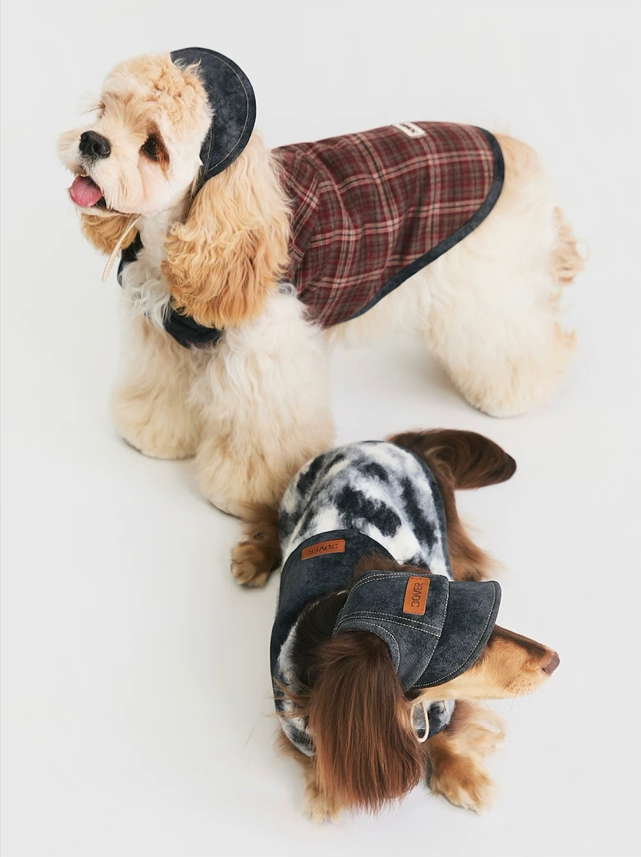 BOVER Reversible Pet Baseball Cap