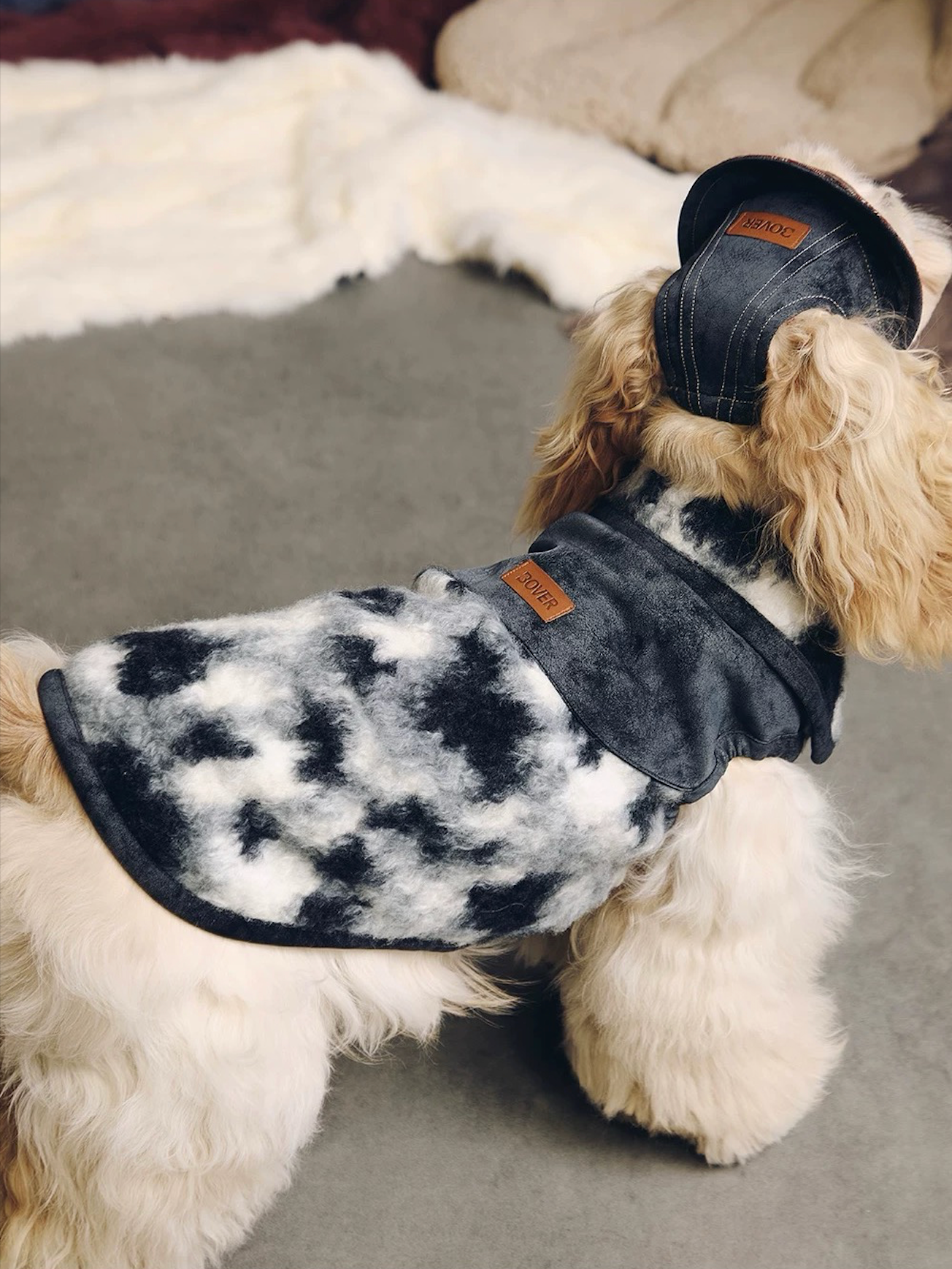 BOVER Reversible Pet Baseball Cap