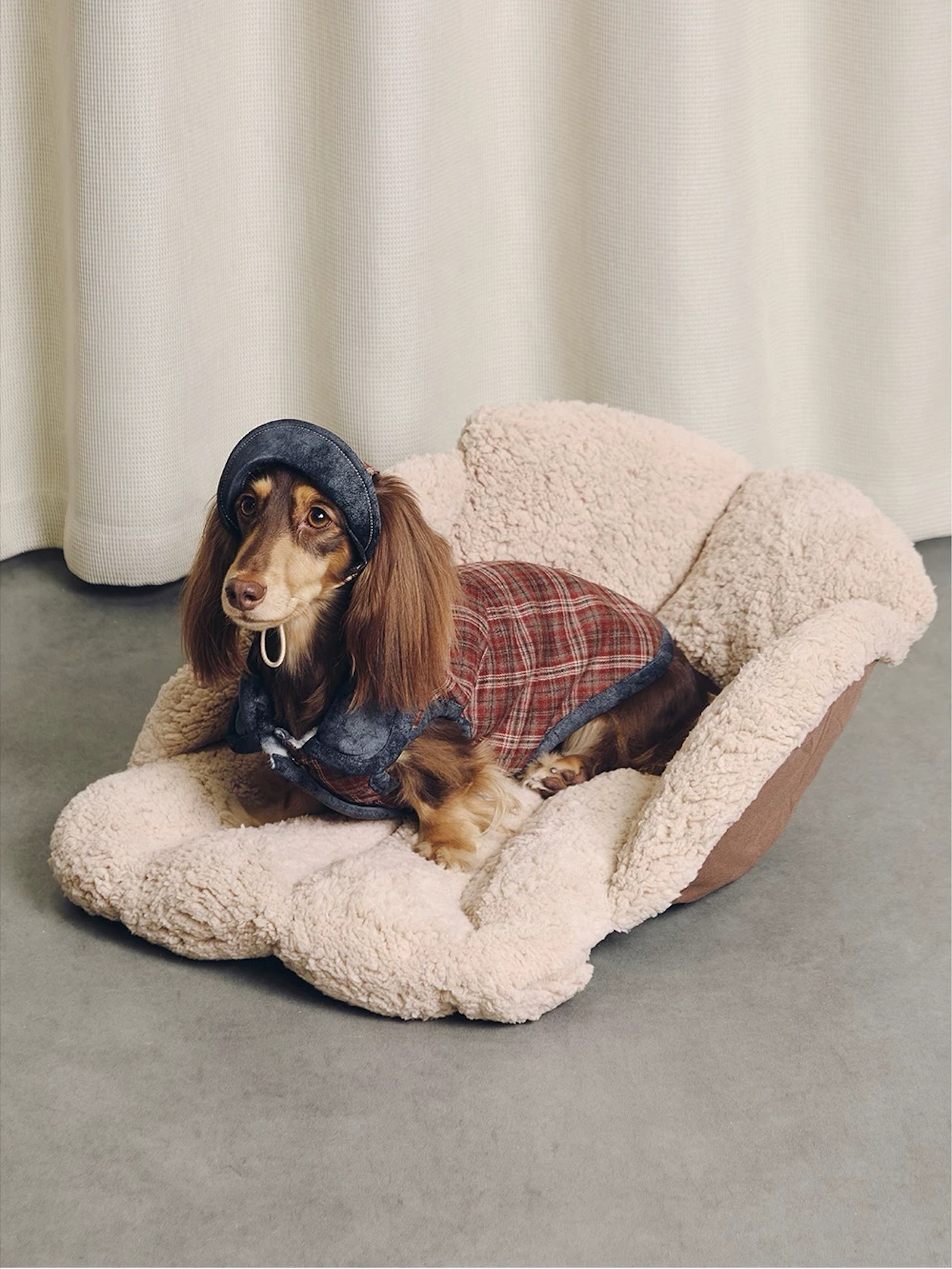 BOVER Reversible Pet Baseball Cap