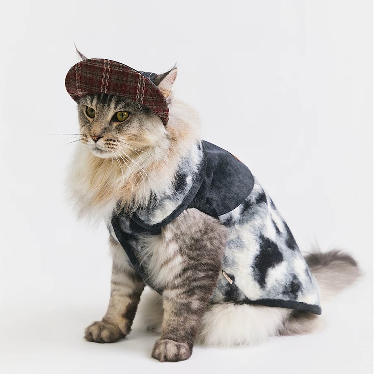 BOVER Reversible Pet Baseball Cap