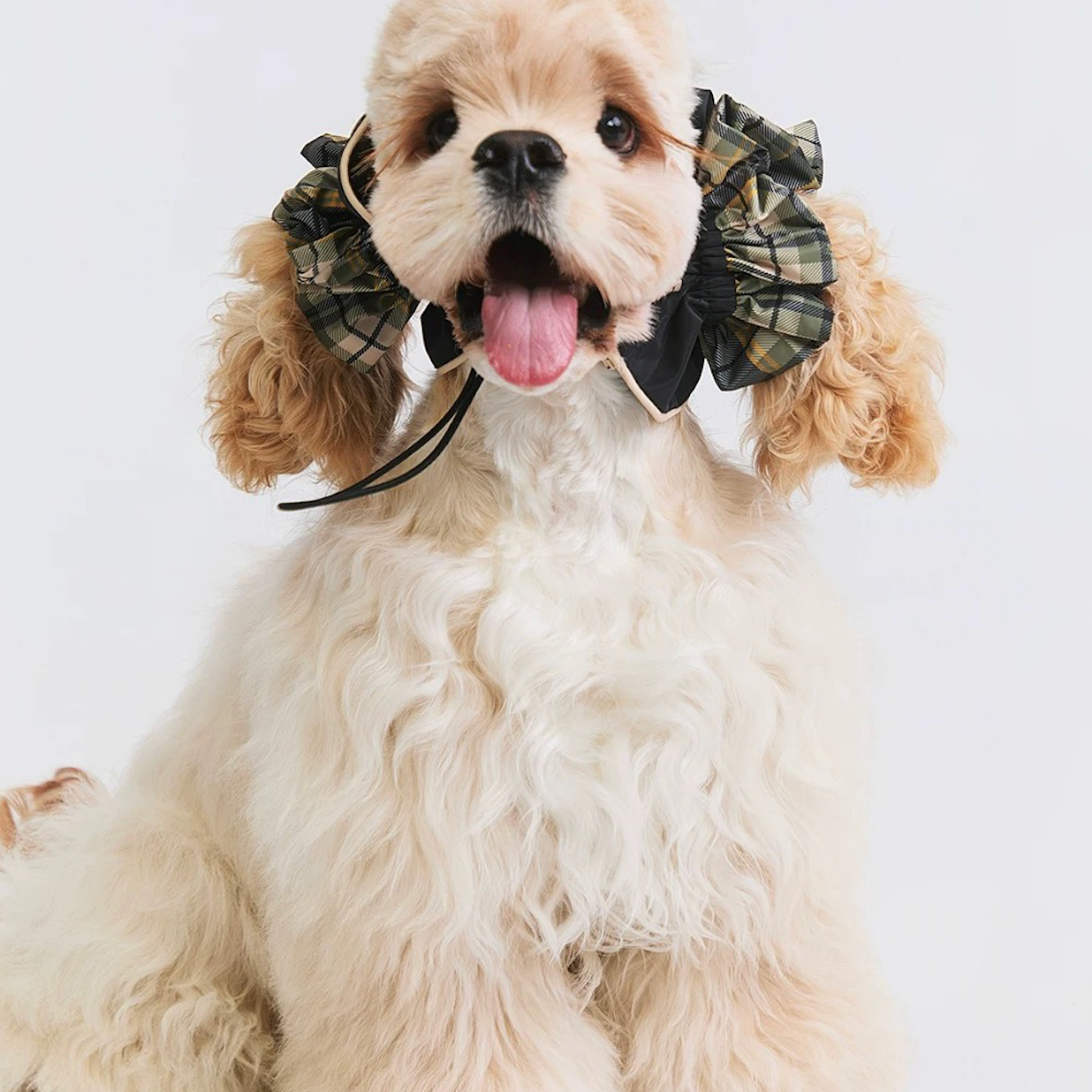 BOVER Color-block Ear Cap