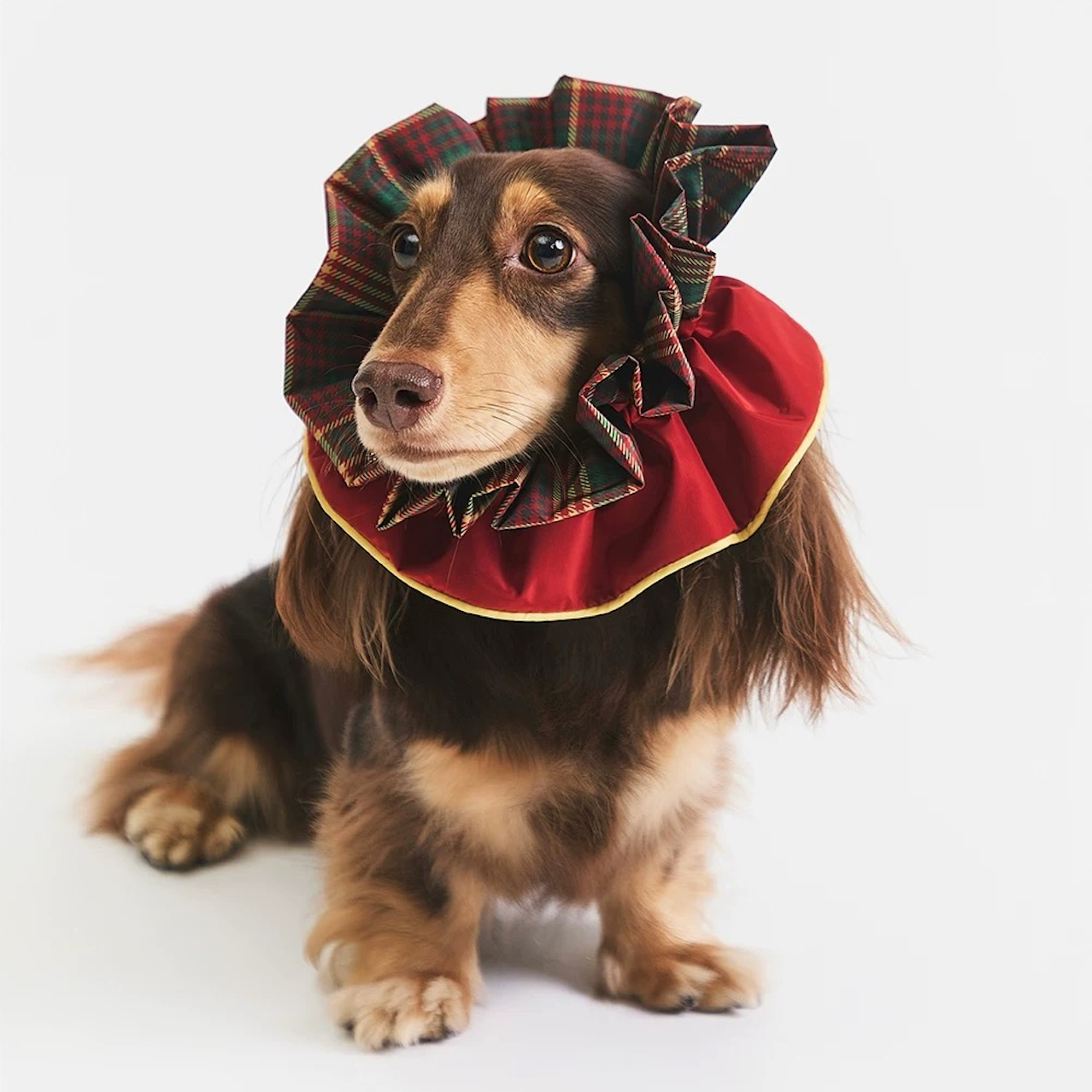 BOVER Multi-functional Plaid Bandana