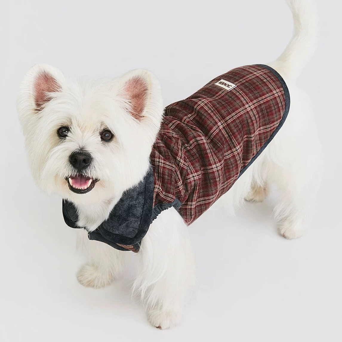 BOVER Reversible Pet Vest