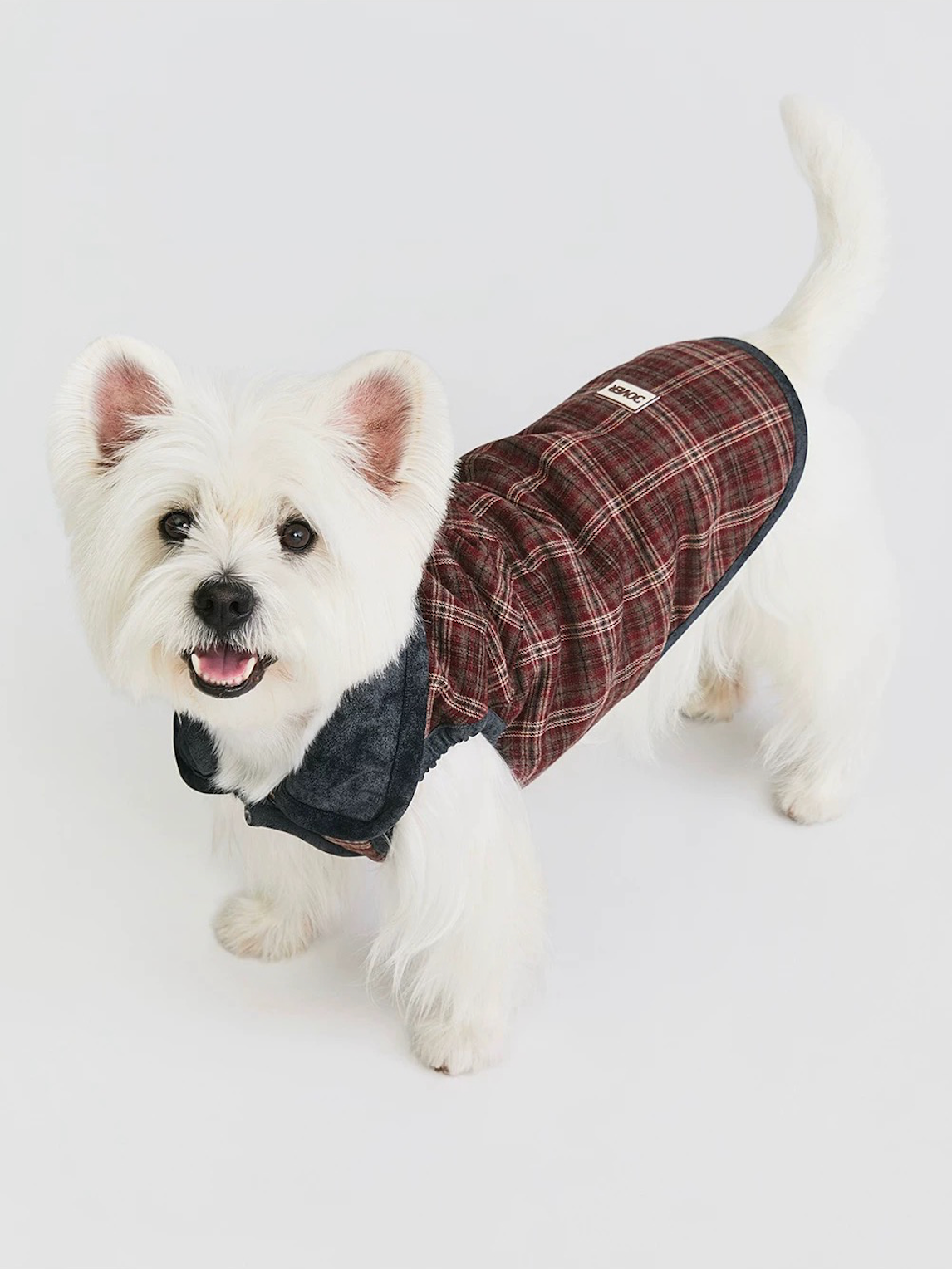 BOVER Reversible Pet Vest