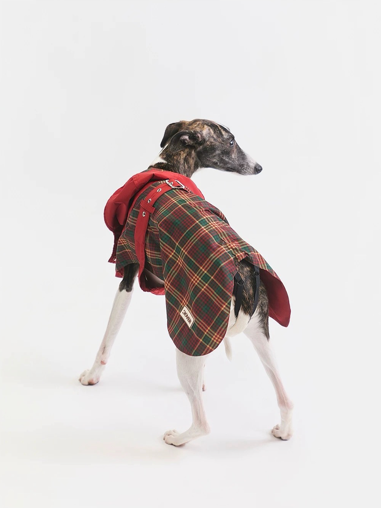 Stripe Waterproof Windbreaker