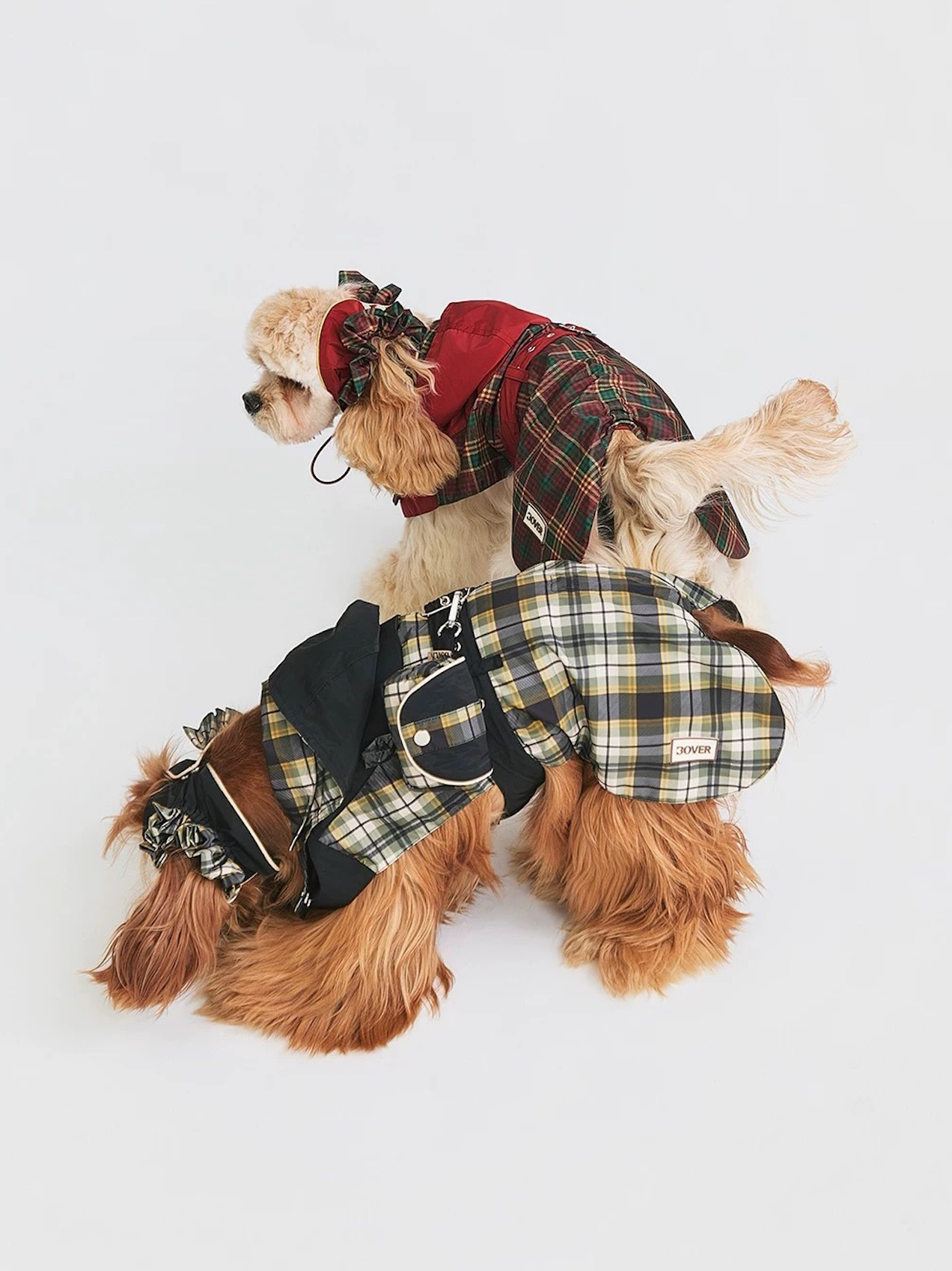 Stripe Waterproof Windbreaker