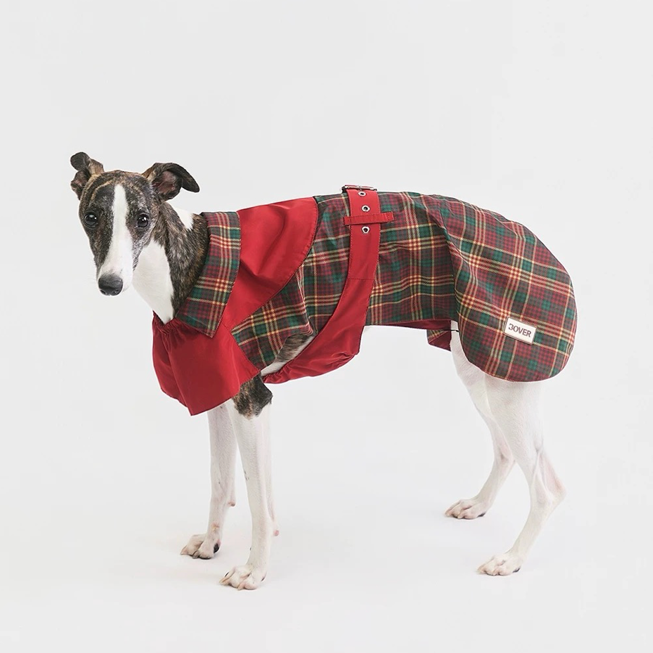 Stripe Waterproof Windbreaker