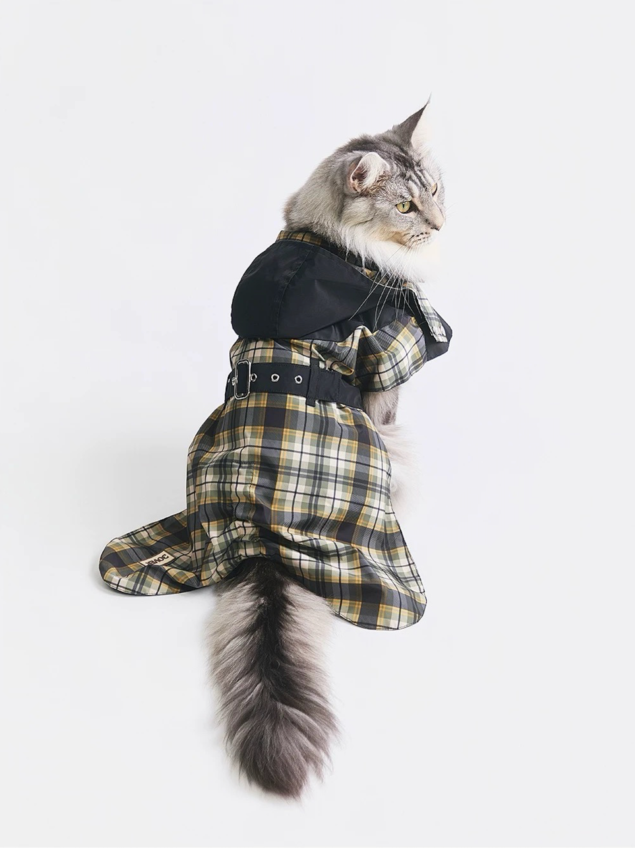 Stripe Waterproof Windbreaker