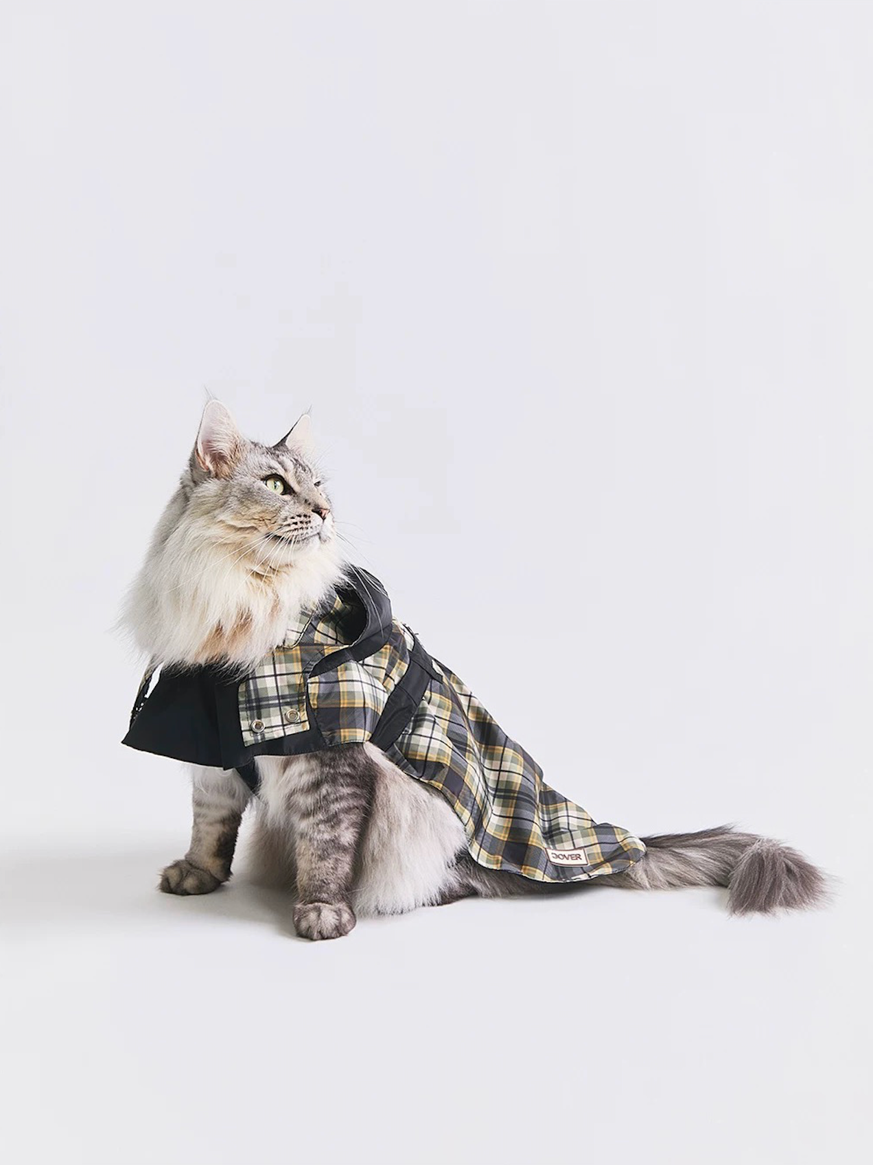 Stripe Waterproof Windbreaker