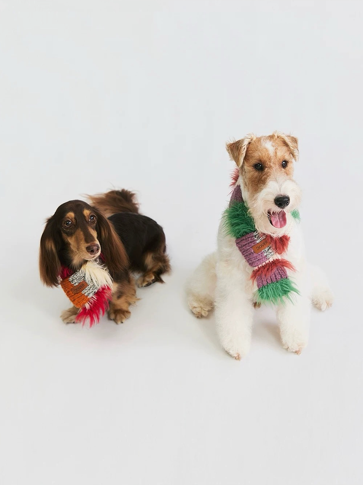 BOVER Color-block Pet Scarf (Pet Version)