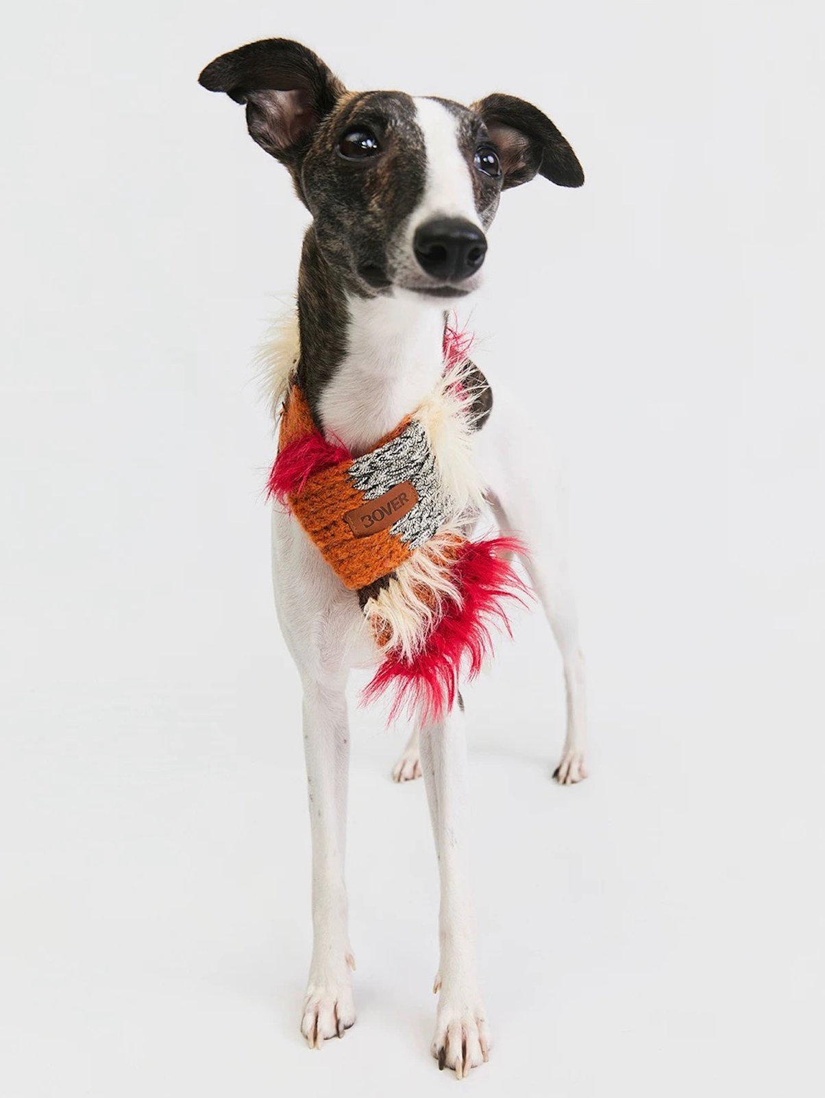 BOVER Color-block Pet Scarf (Pet Version)
