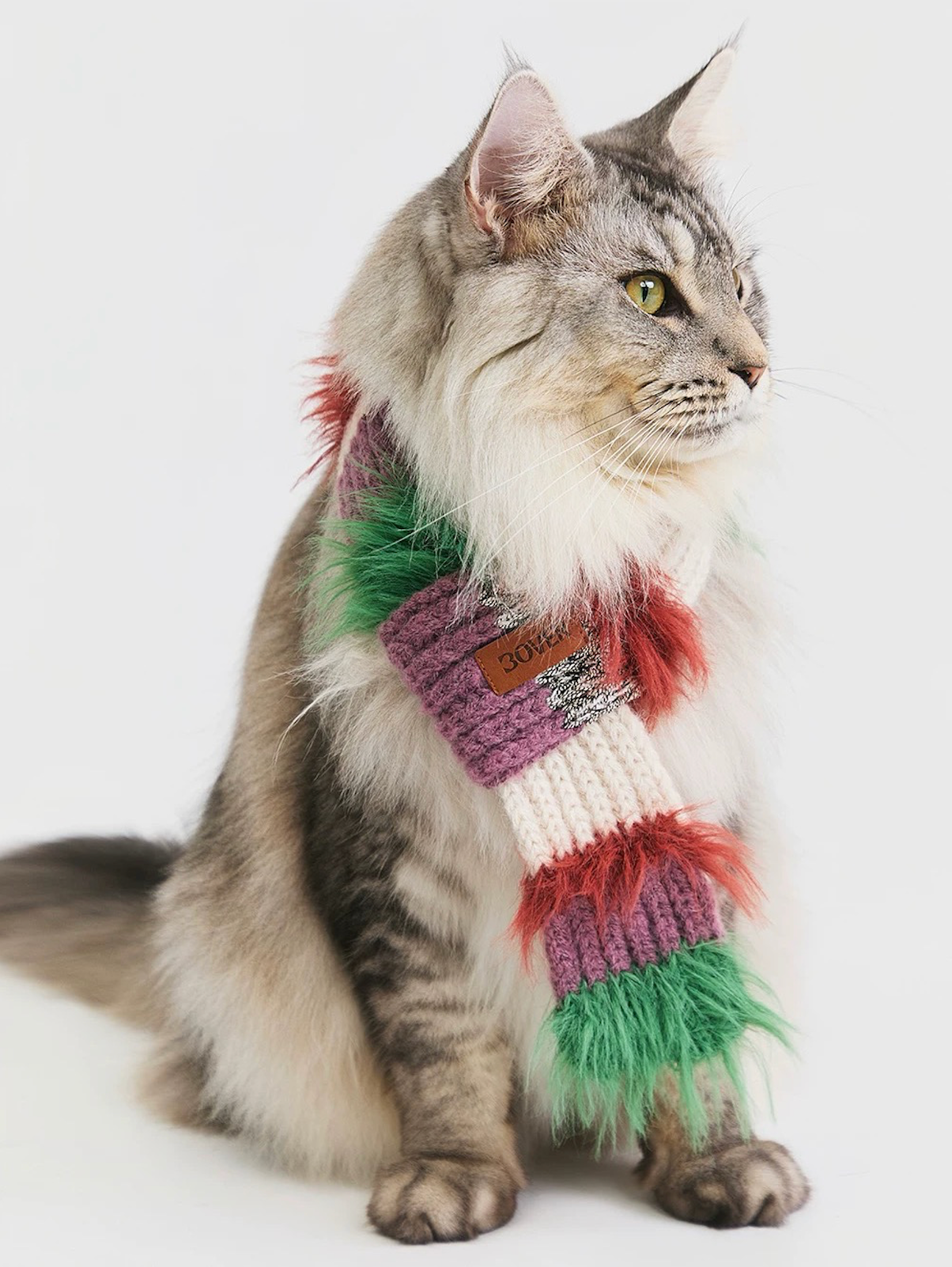 BOVER Color-block Pet Scarf (Pet Version)