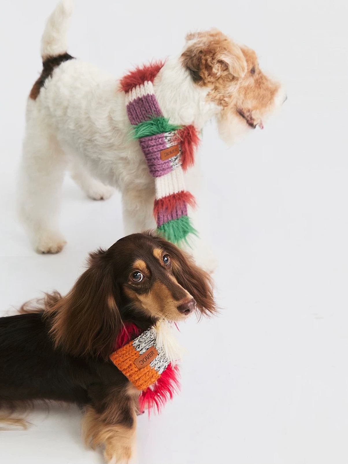 BOVER Color-block Pet Scarf (Pet Version)