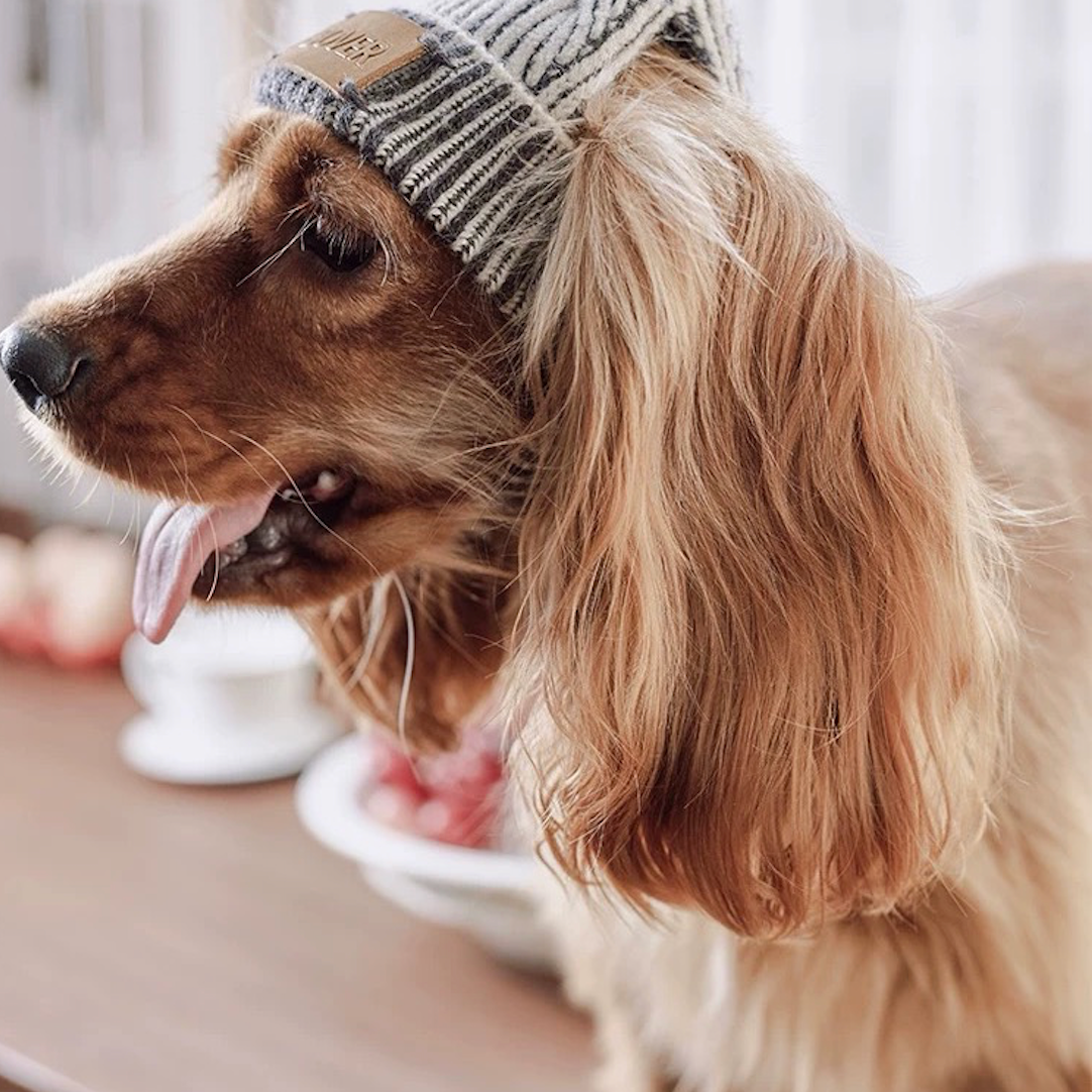 BOVER "Hip Hop Dog" Knit Beanie