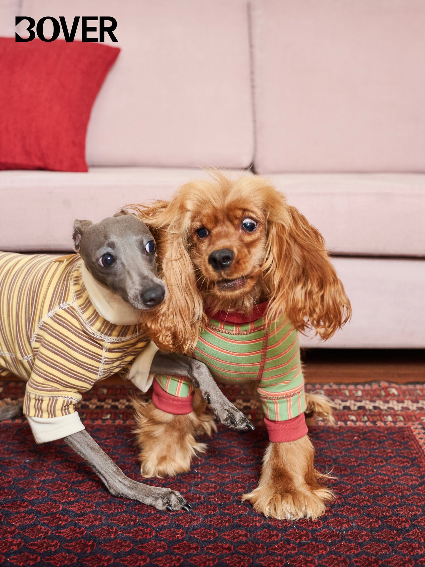 BOVER "Homebody Dog" Velvet Shirt - Cozy Pet Loungewear