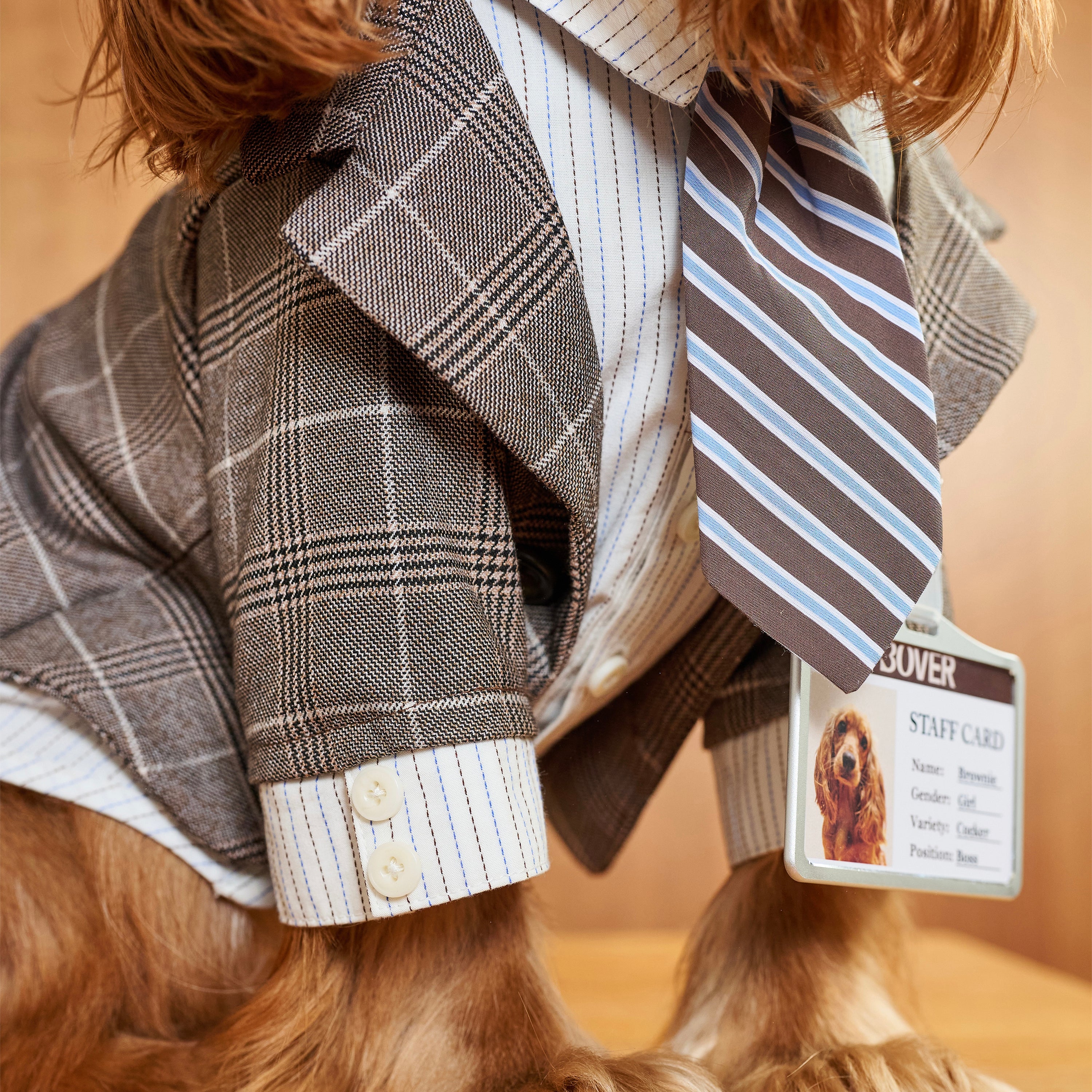 BOVER "Office Dog" Blazer Set
