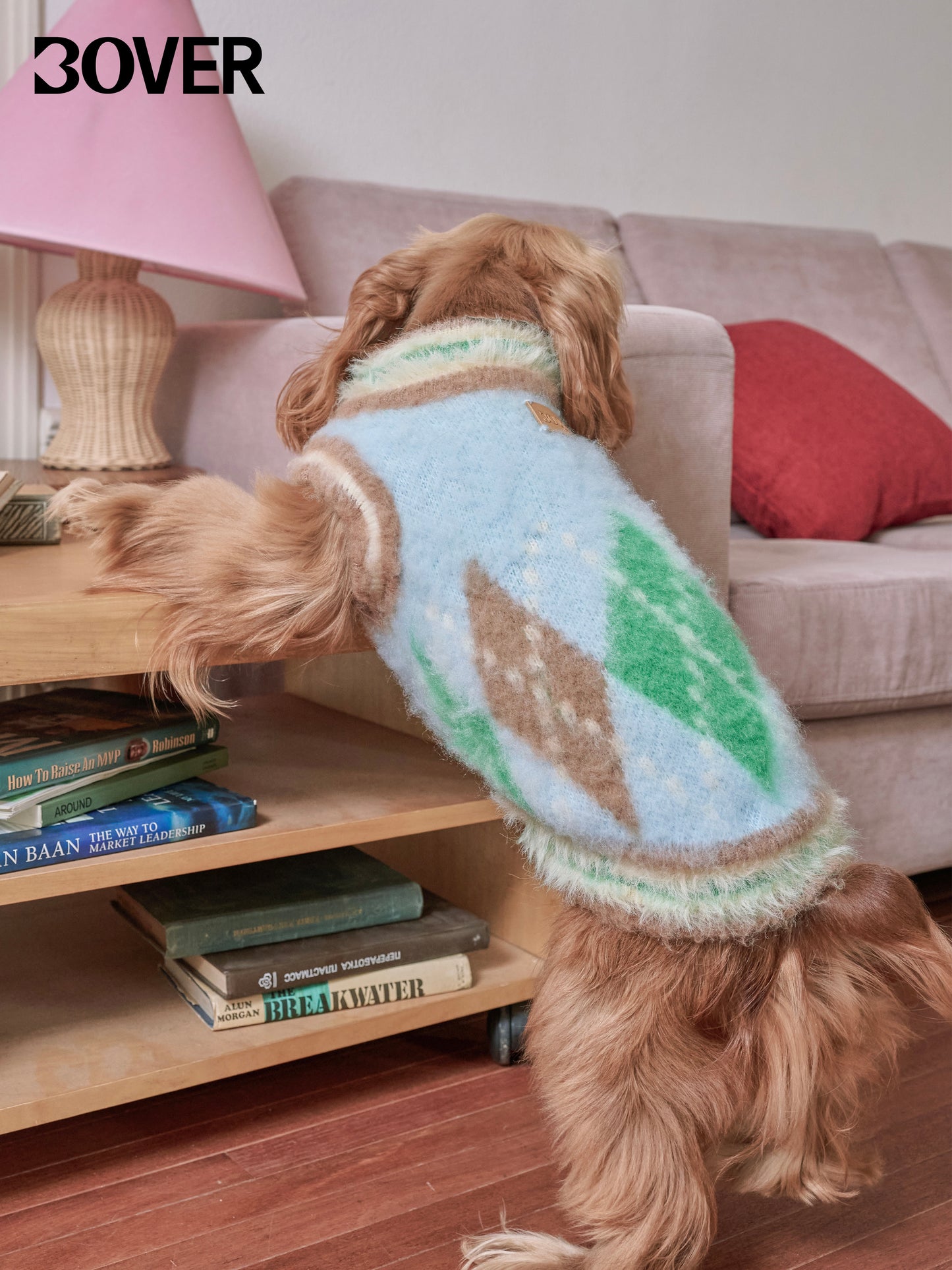 BOVER "Student Dog" Knit Vest - British Academic Style Pet Sweater
