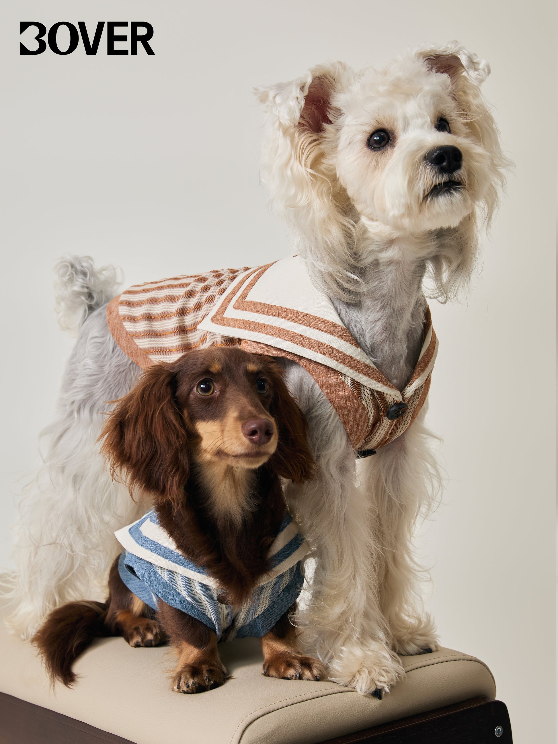 BOVER Navy Style Pet Shirt