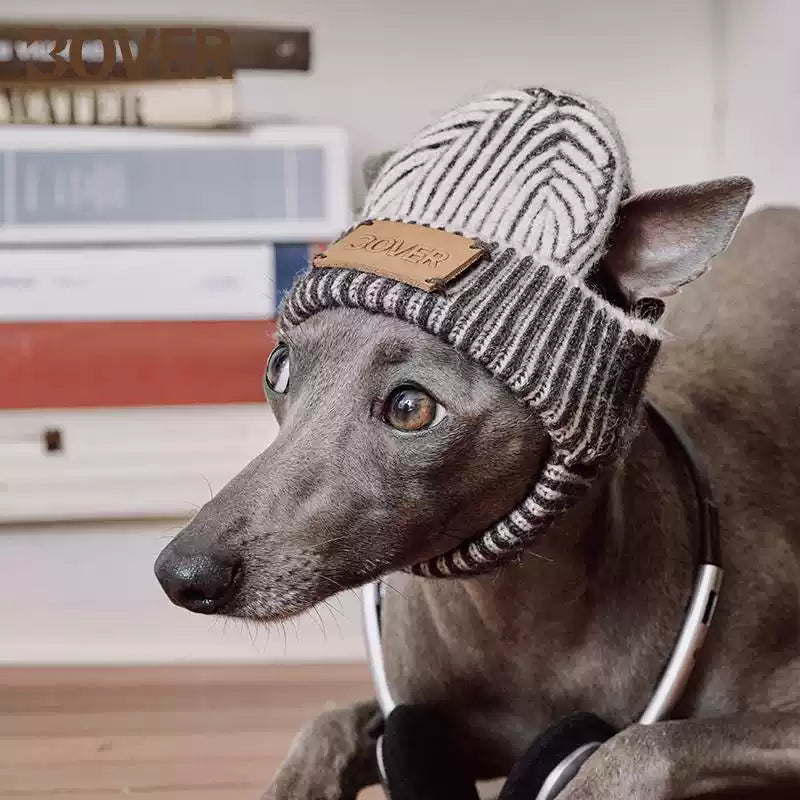 BOVER "Hip Hop Dog" Knit Beanie - Streetwear Pet Hat with Ear Holes