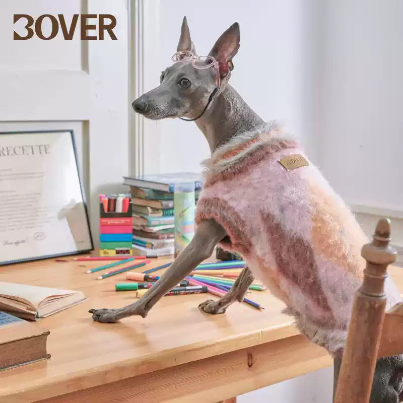 BOVER "Student Dog" Knit Vest - British Academic Style Pet Sweater