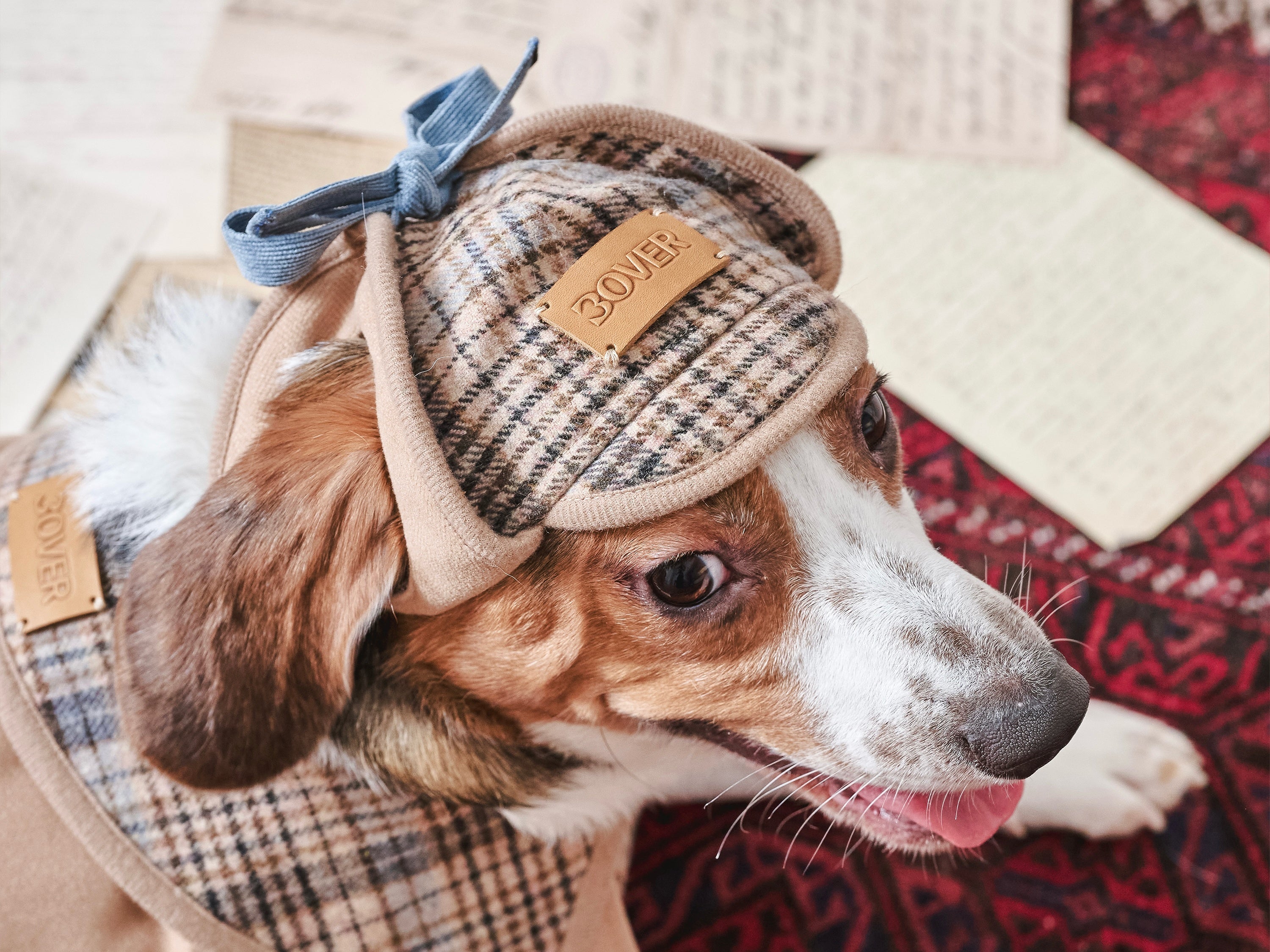 The Fashion Showdown of Detective Hats: How BOVER Makes Every Dog a Star