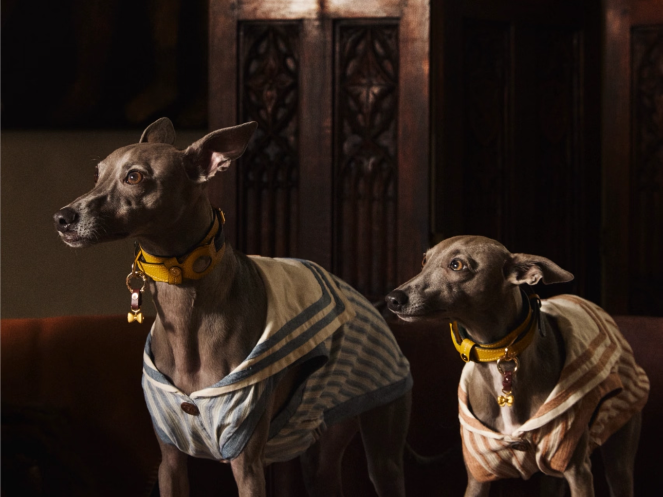 Double Cover Glory: BOVER’s 2025 Fashion Journey, From Social Icons to Trendsetting Idols