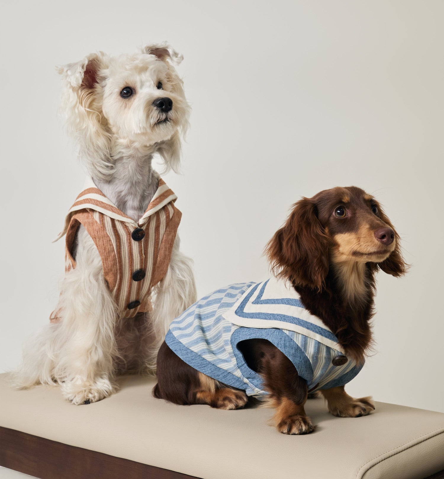 Bover Everyday Dog Jackets & Vests
