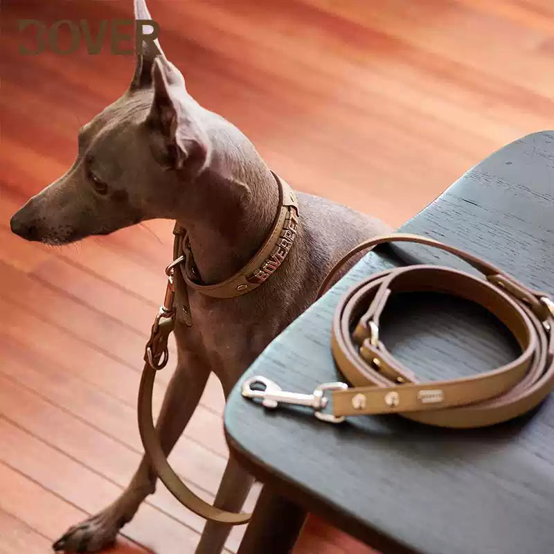 Bover Durable & Stylish Dog Collars and Leashes