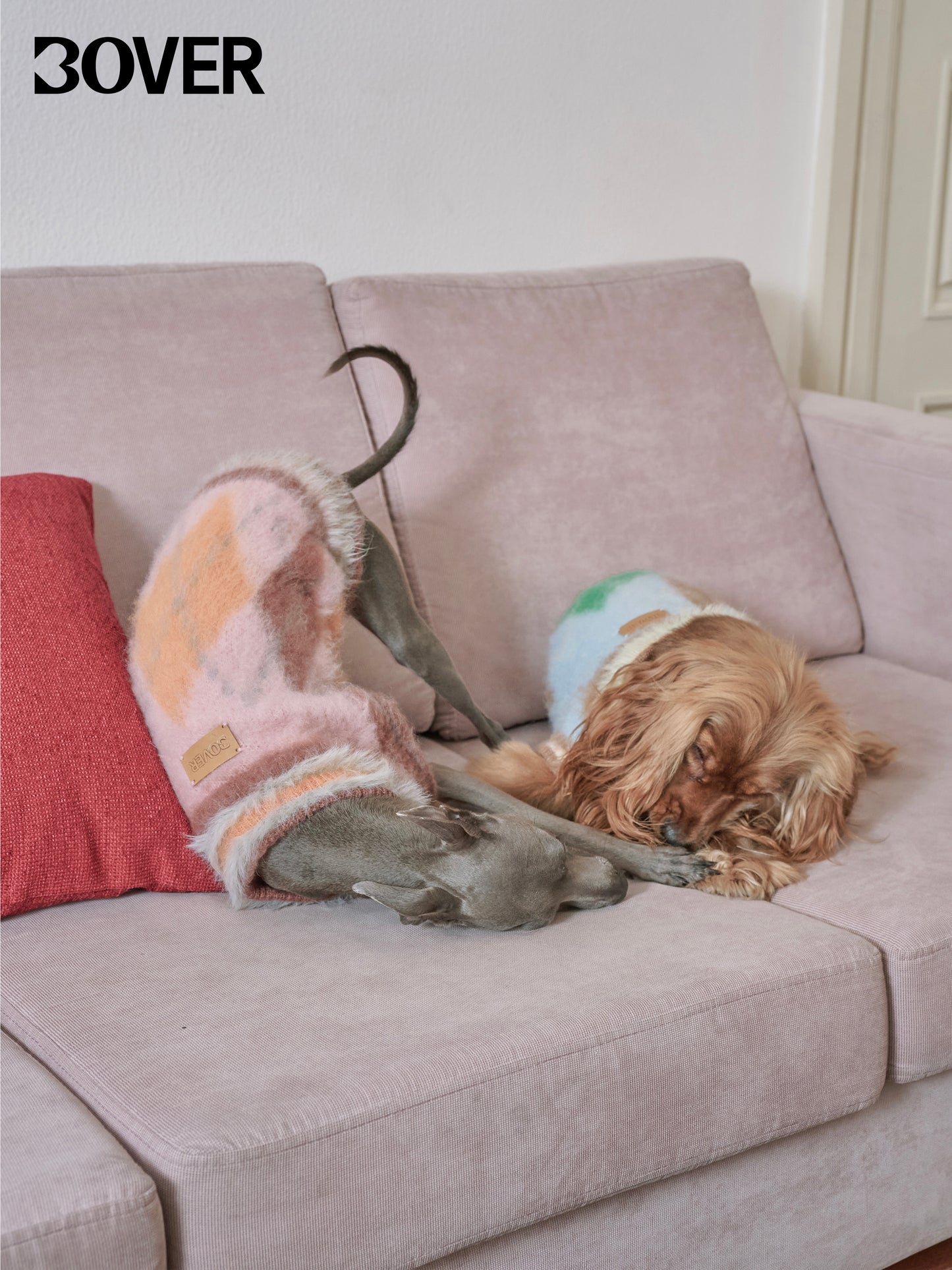 BOVER "Student Dog" Knit Vest - British Academic Style Pet Sweater