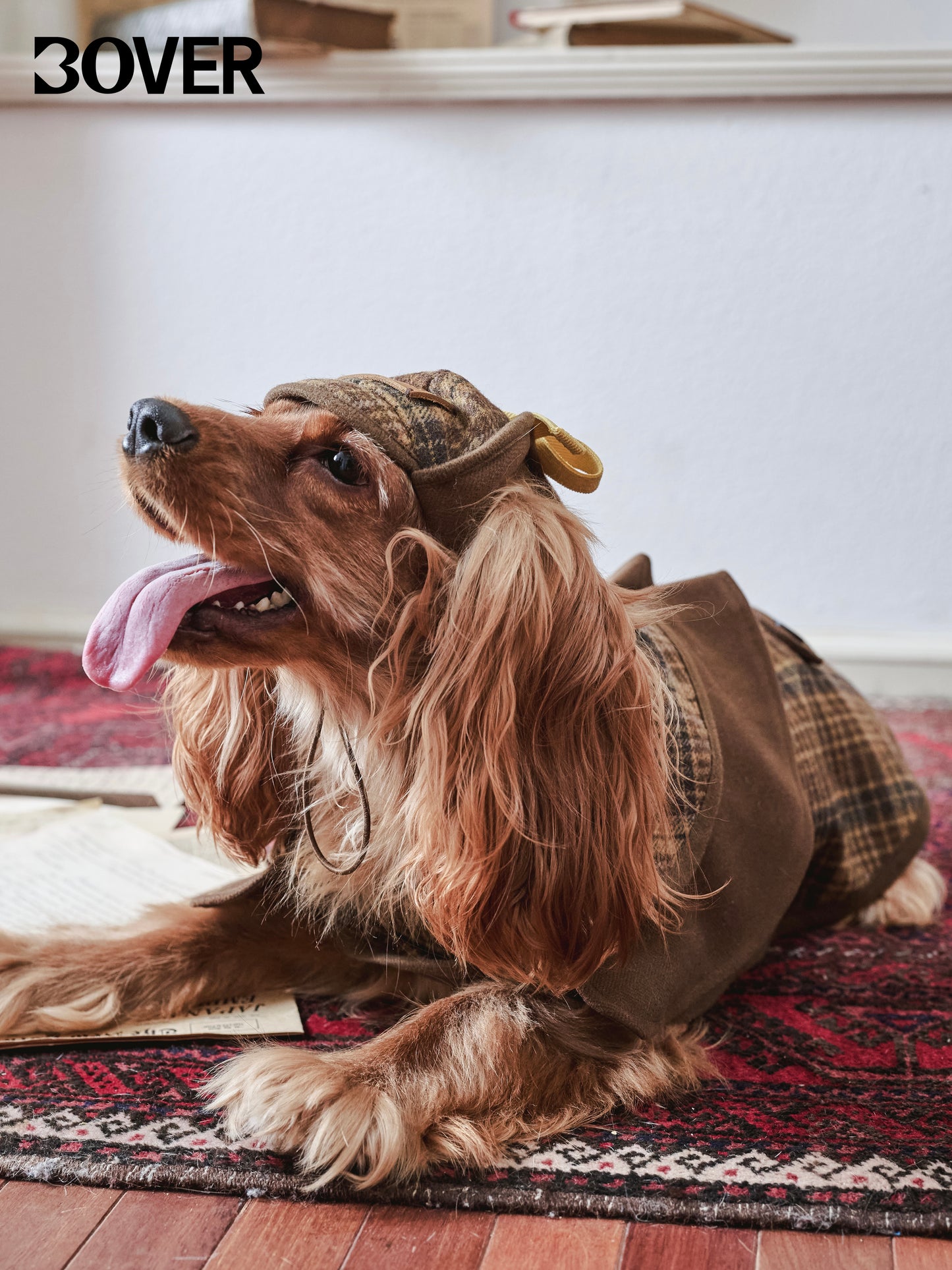 BOVER "Detective Dog" Sherlock Hat - British Style with Adjustable Strap