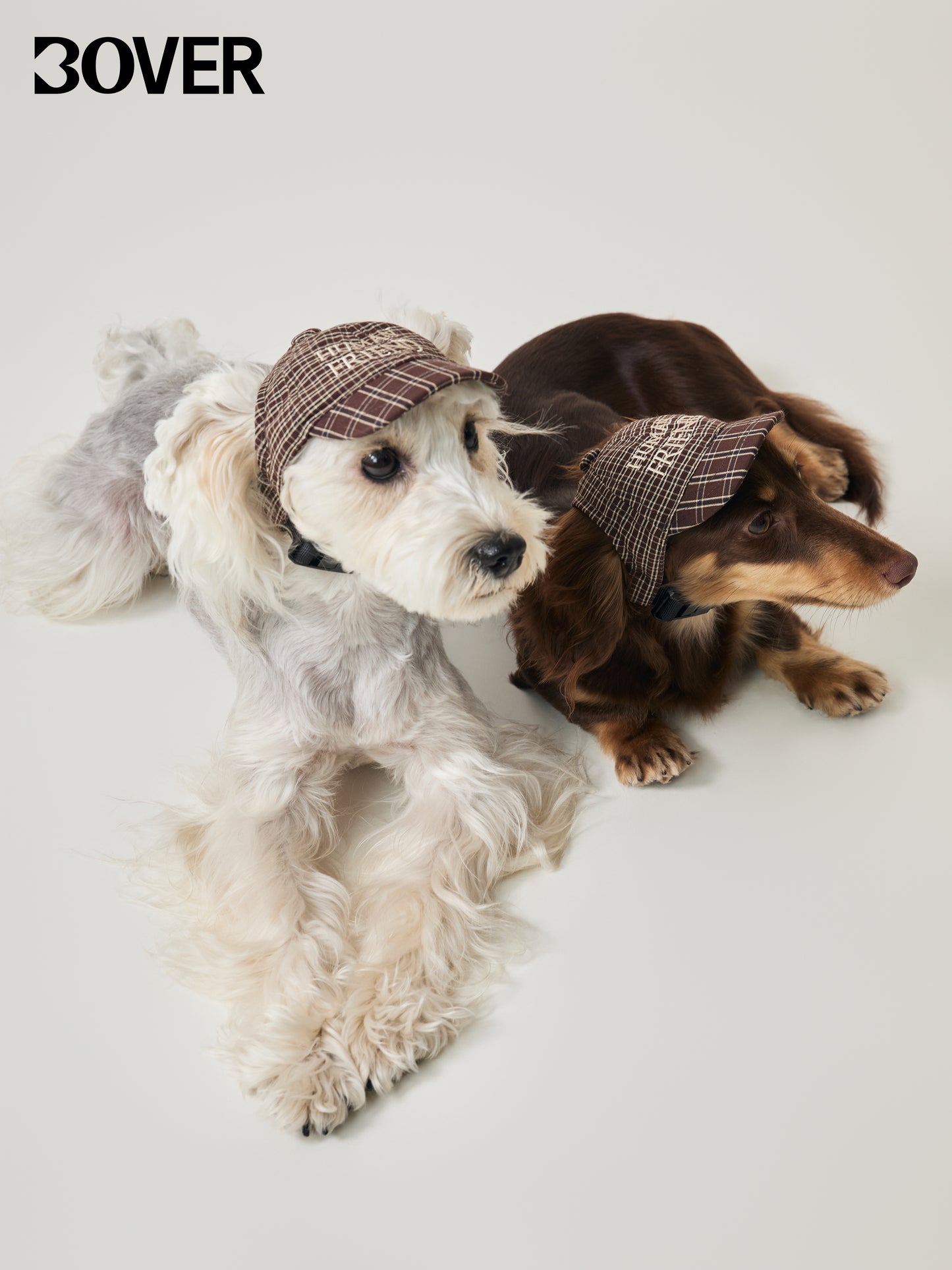 BOVER Pet Baseball Cap - Magnetic Buckle with Coconut Tag