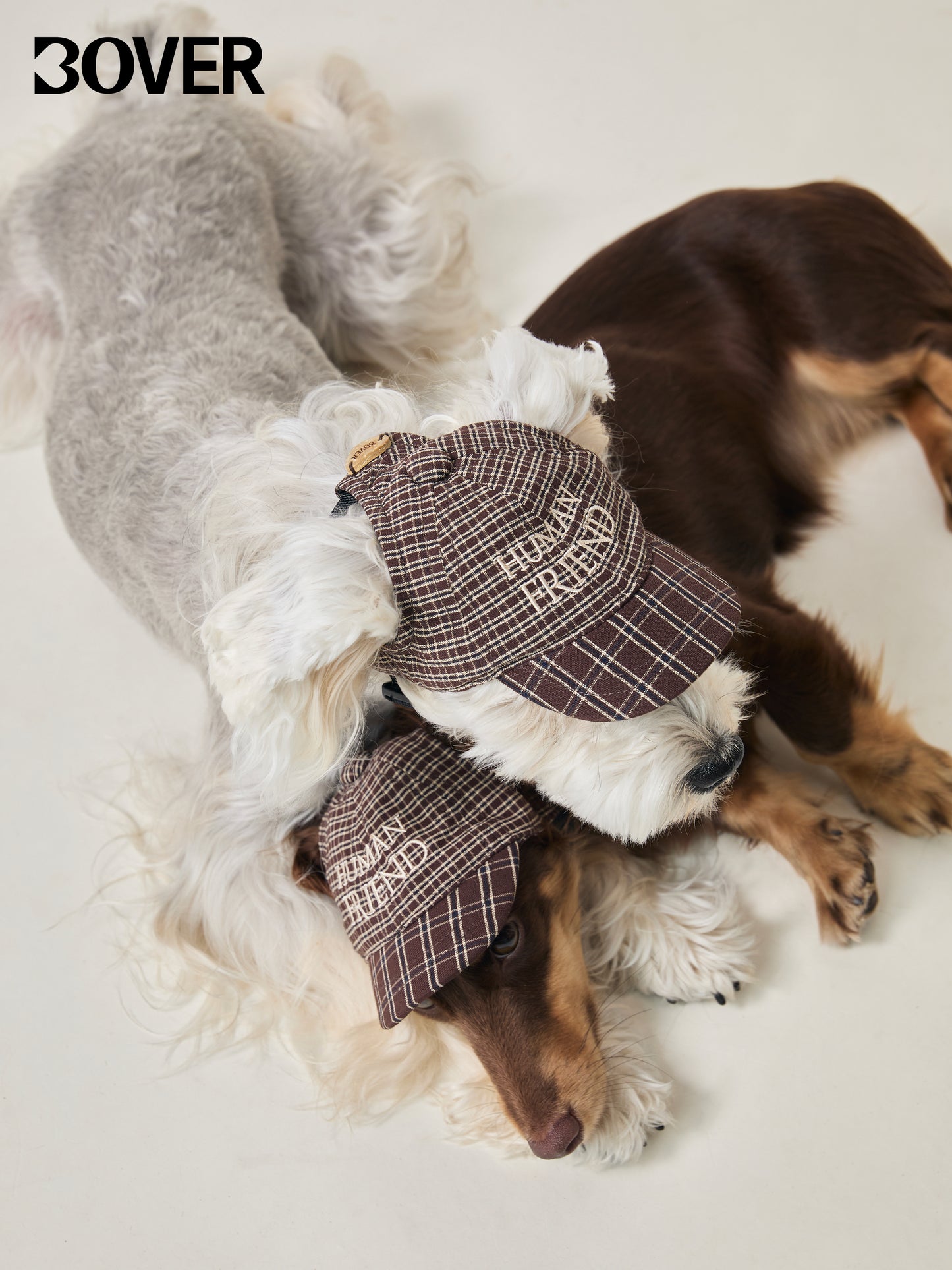 BOVER Pet Baseball Cap - Magnetic Buckle with Coconut Tag