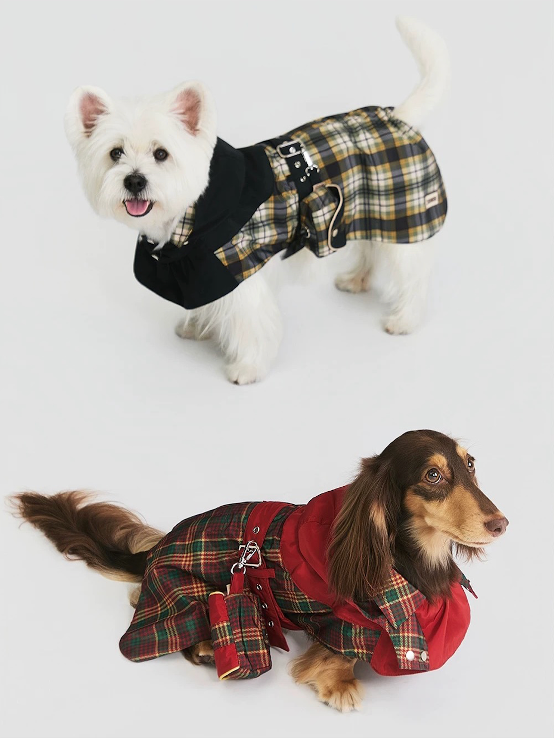 BOVER Pet Waste Bag Holder