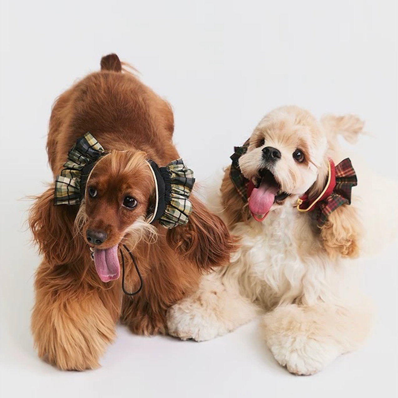 BOVER Color-block Ear Cap