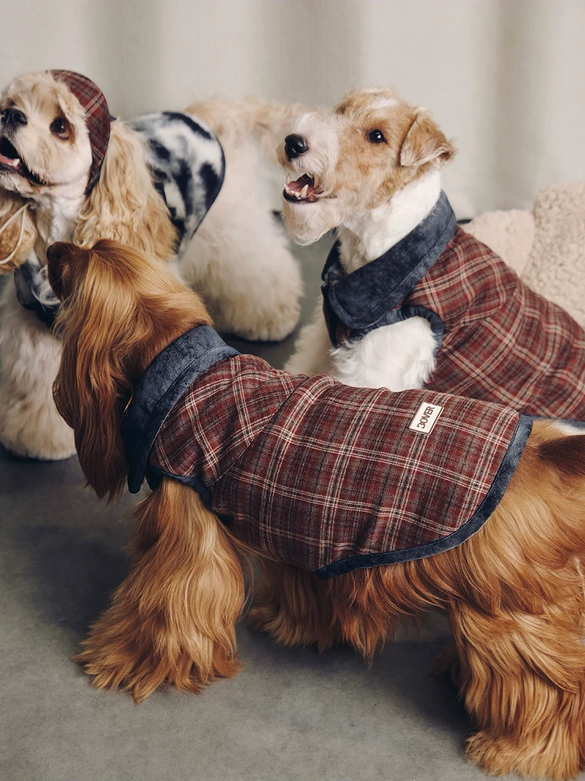 BOVER Reversible Pet Vest