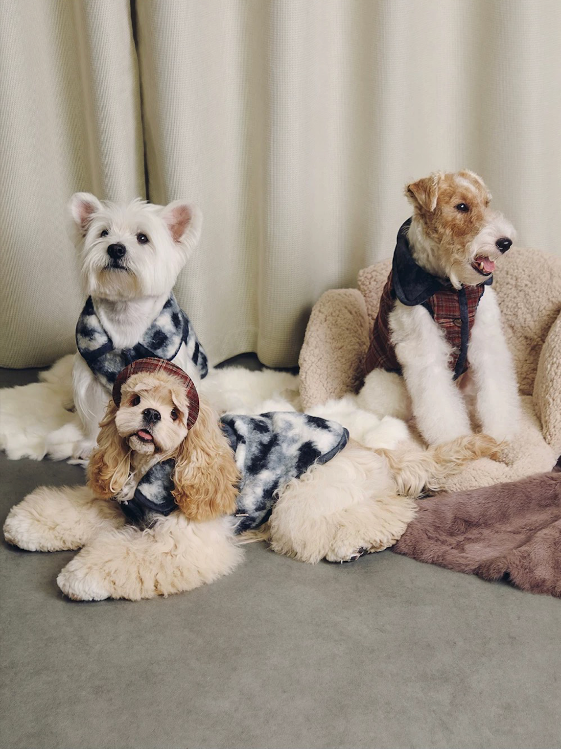 BOVER Reversible Pet Vest