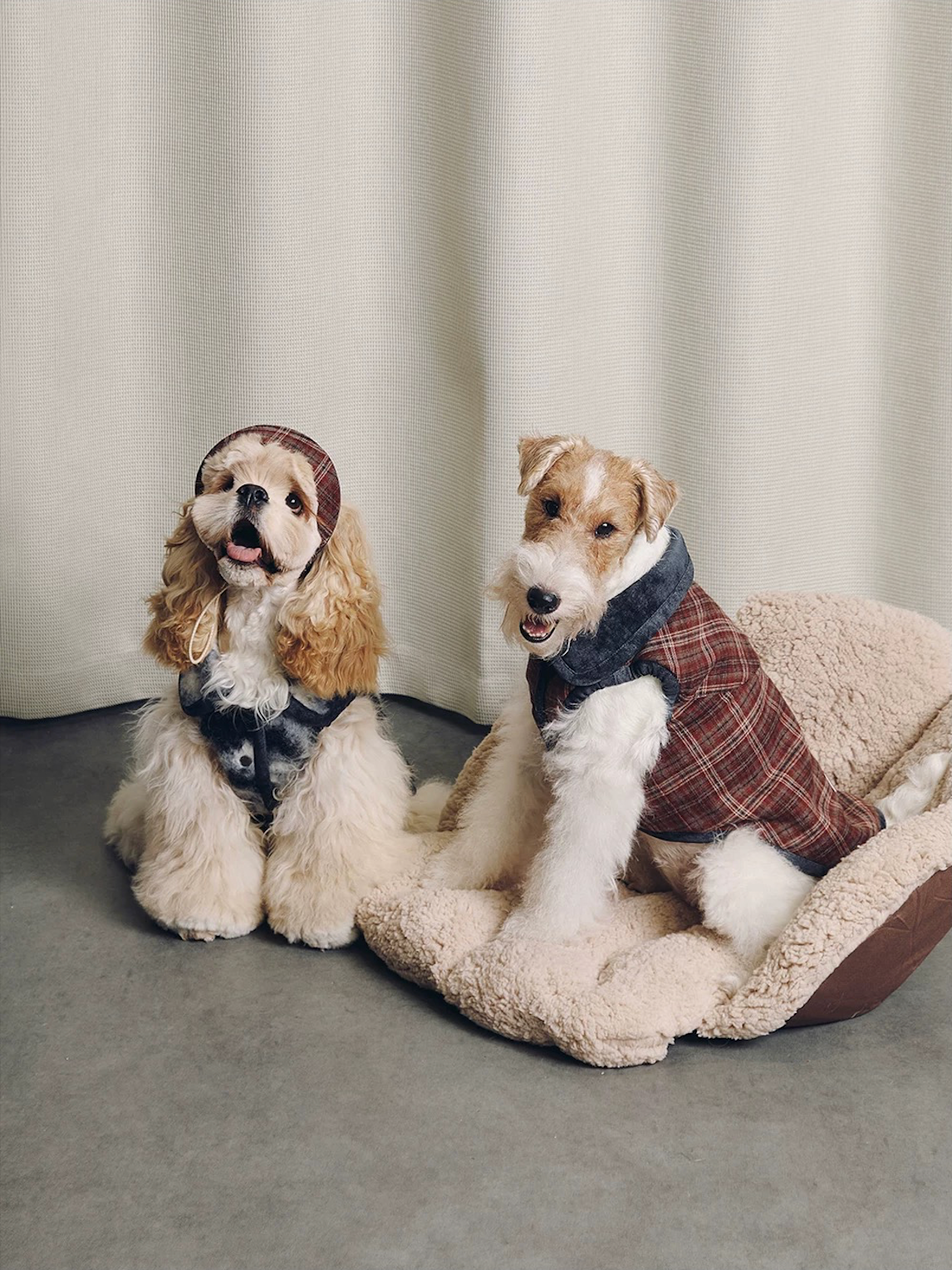 BOVER Reversible Pet Vest