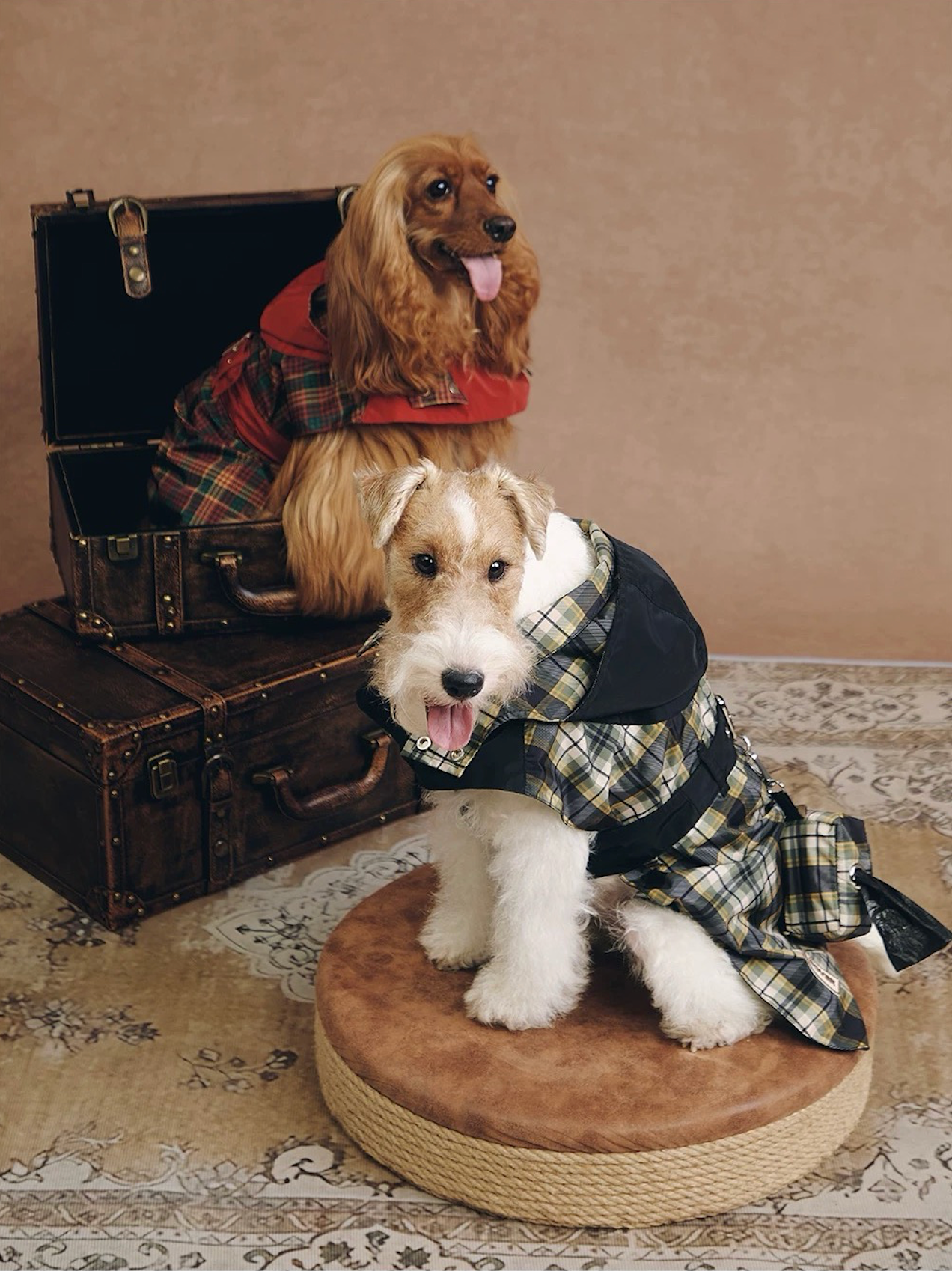 Stripe Waterproof Windbreaker