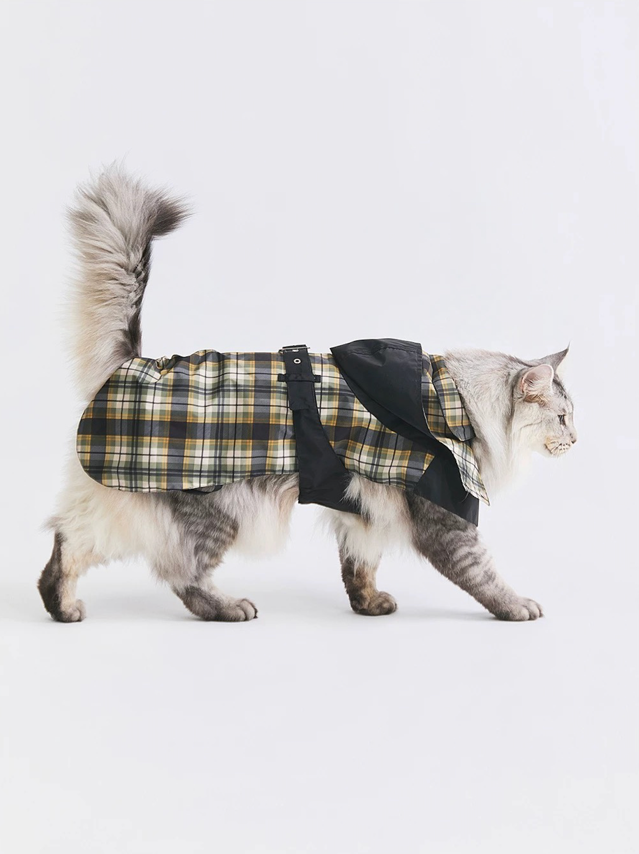 Stripe Waterproof Windbreaker