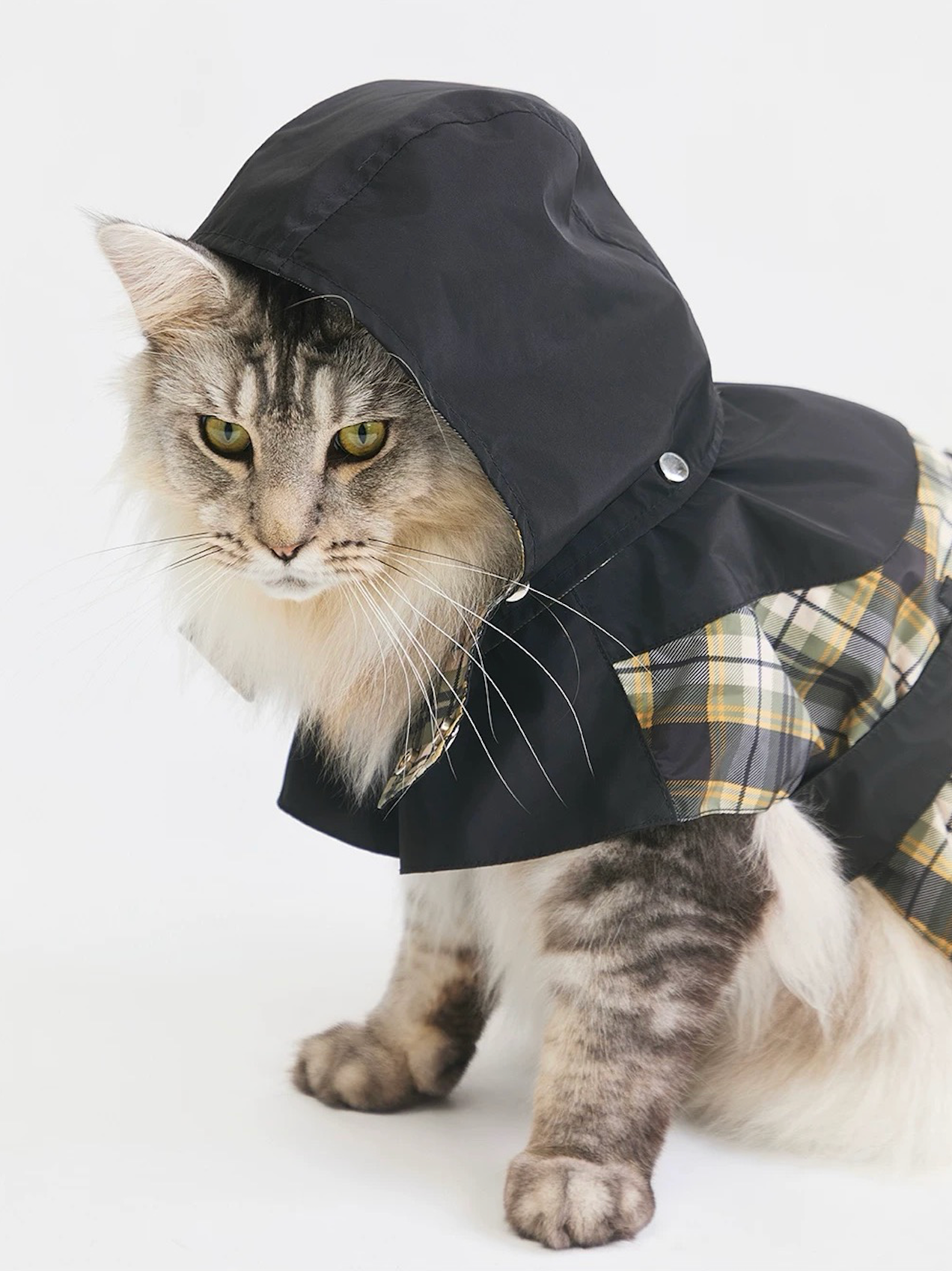 Stripe Waterproof Windbreaker