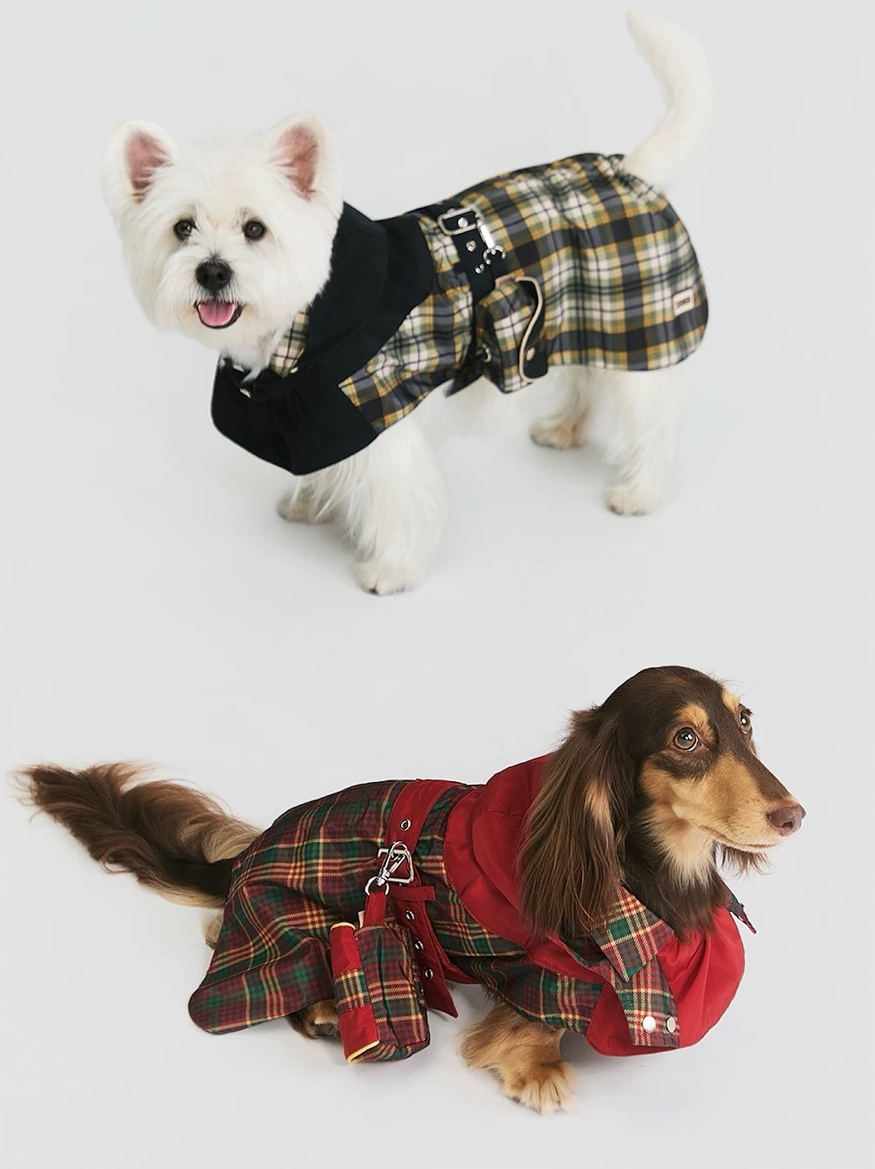 Stripe Waterproof Windbreaker