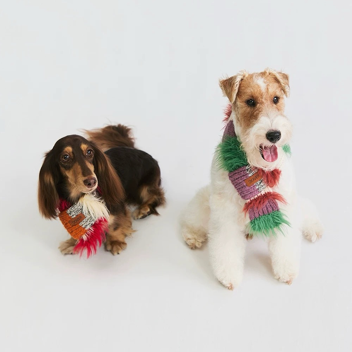 BOVER Color-block Pet Scarf (Pet Version)