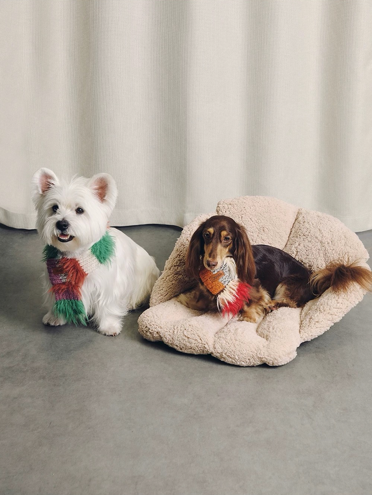 BOVER Color-block Pet Scarf (Pet Version)