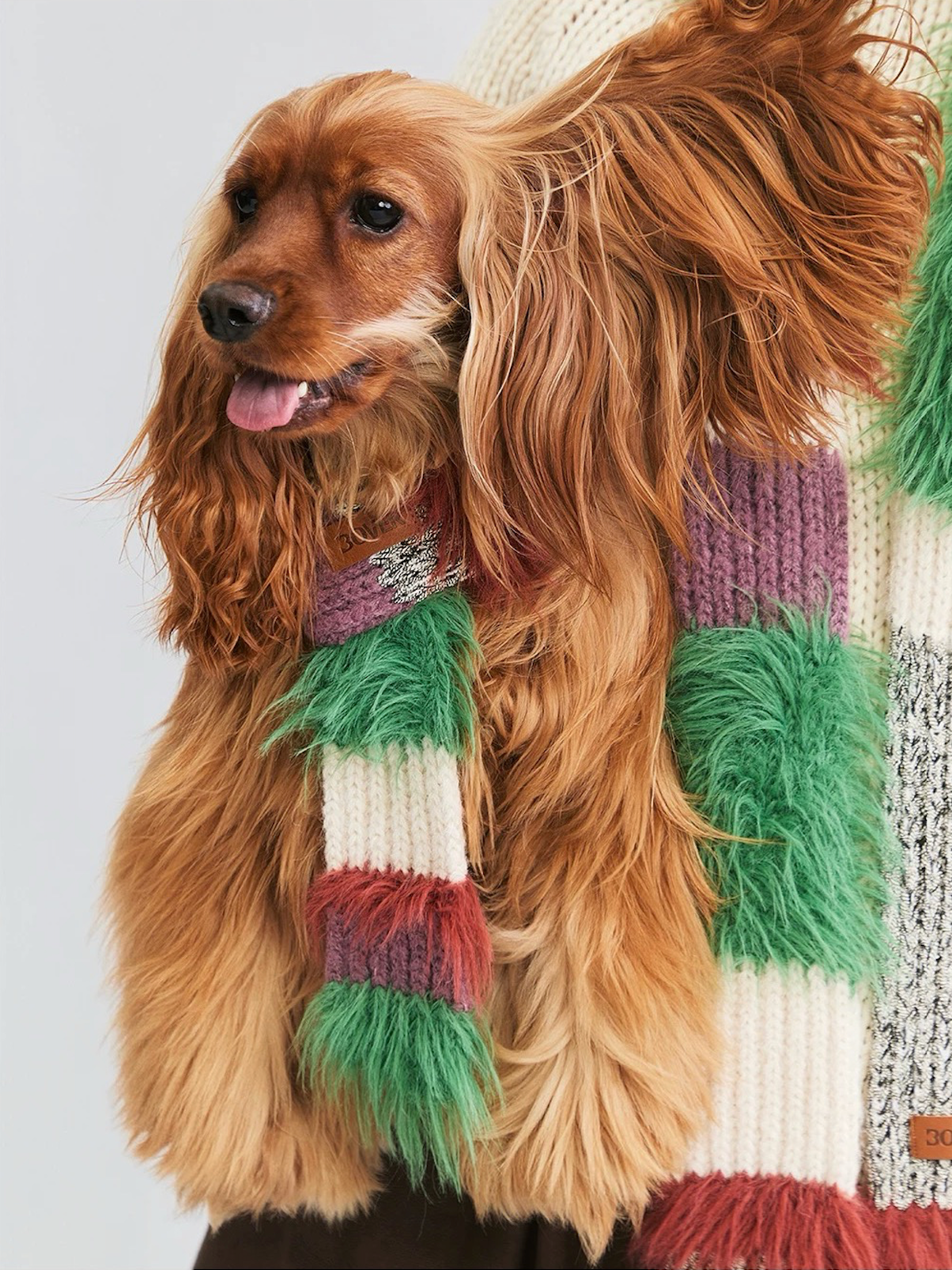BOVER Color-block Pet Scarf (Pet Version)