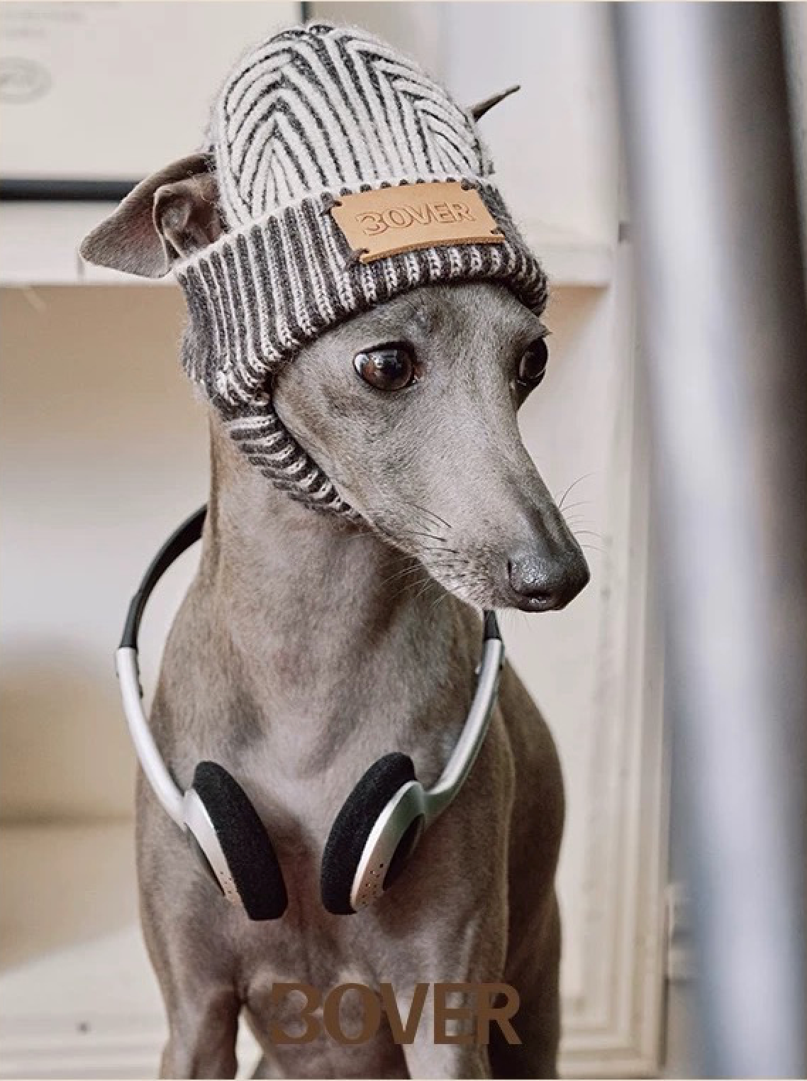 BOVER "Hip Hop Dog" Knit Beanie