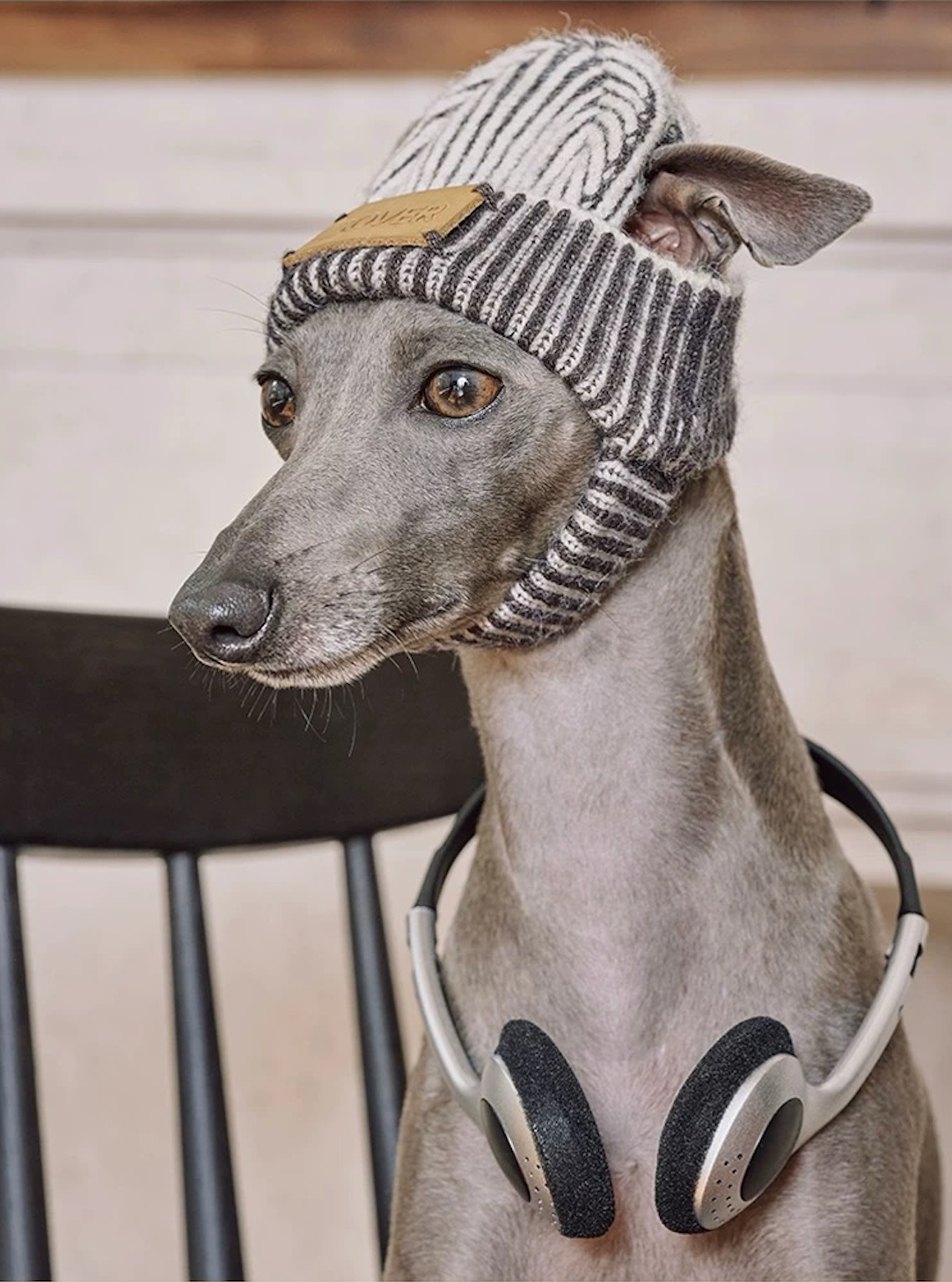 BOVER "Hip Hop Dog" Knit Beanie
