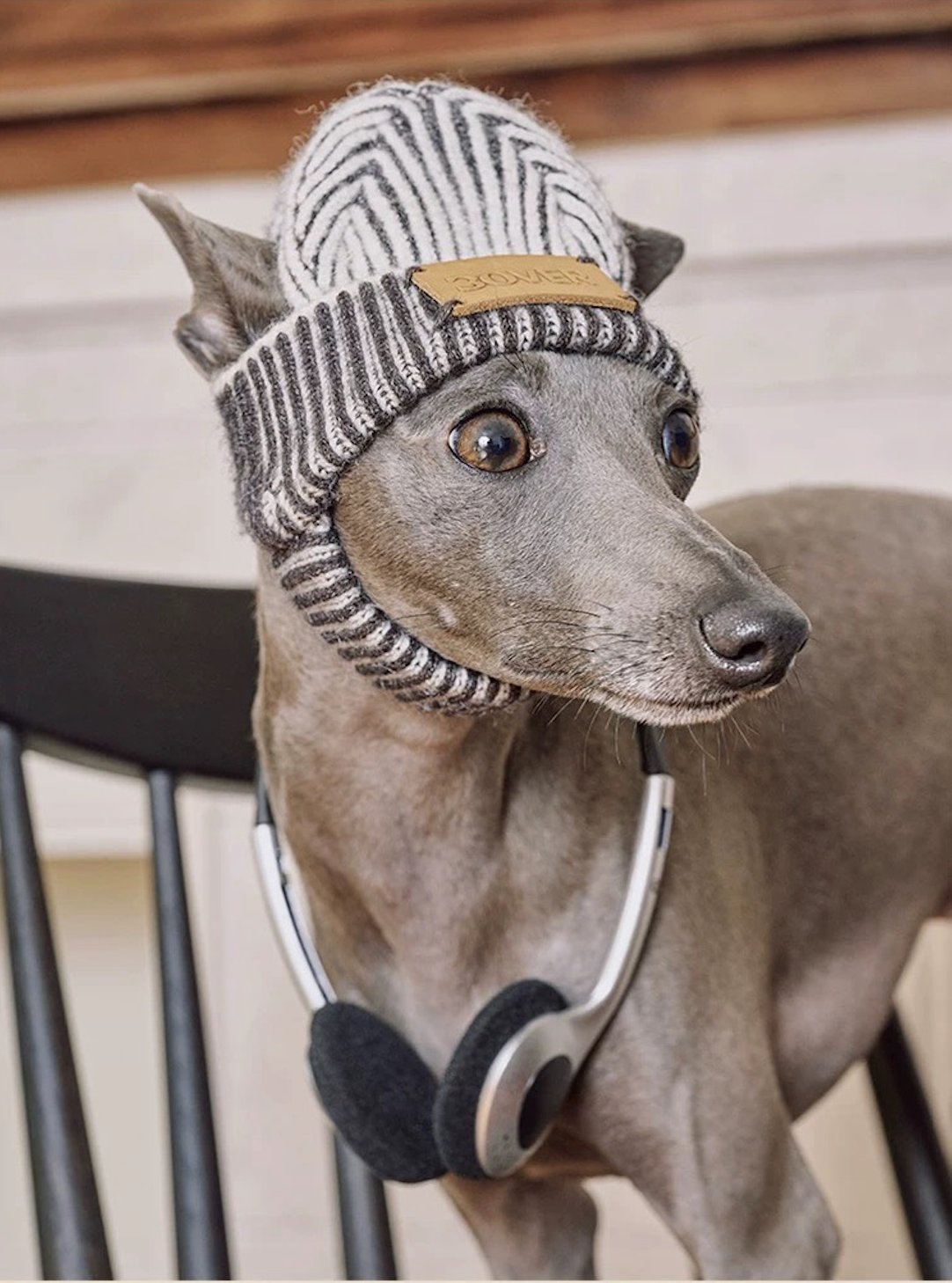 BOVER "Hip Hop Dog" Knit Beanie