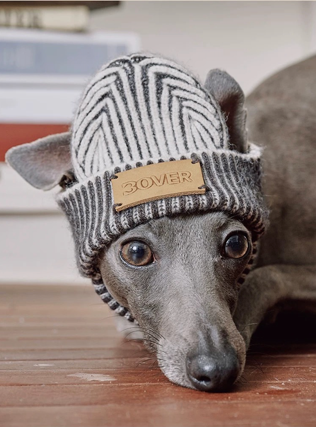 BOVER "Hip Hop Dog" Knit Beanie