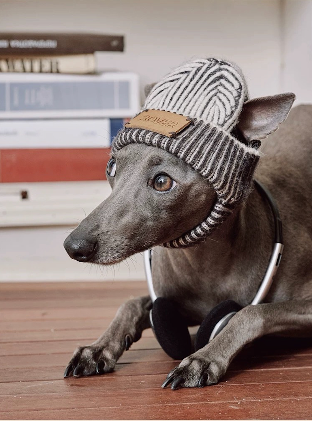 BOVER "Hip Hop Dog" Knit Beanie