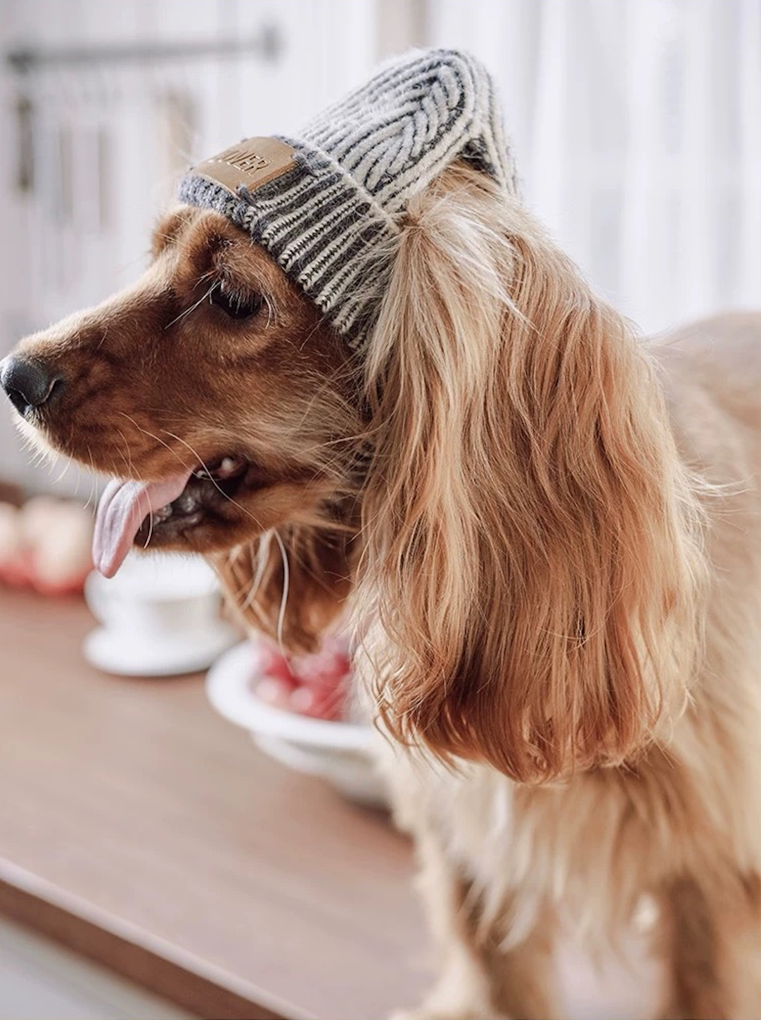 BOVER "Hip Hop Dog" Knit Beanie